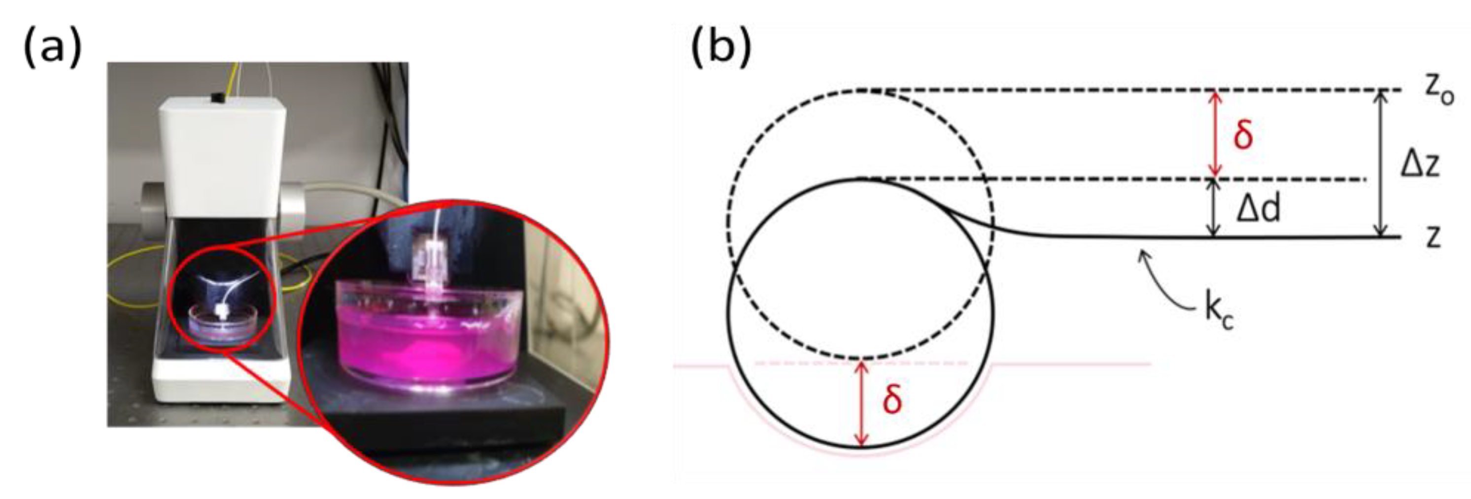 Applsci 14 01093 g002