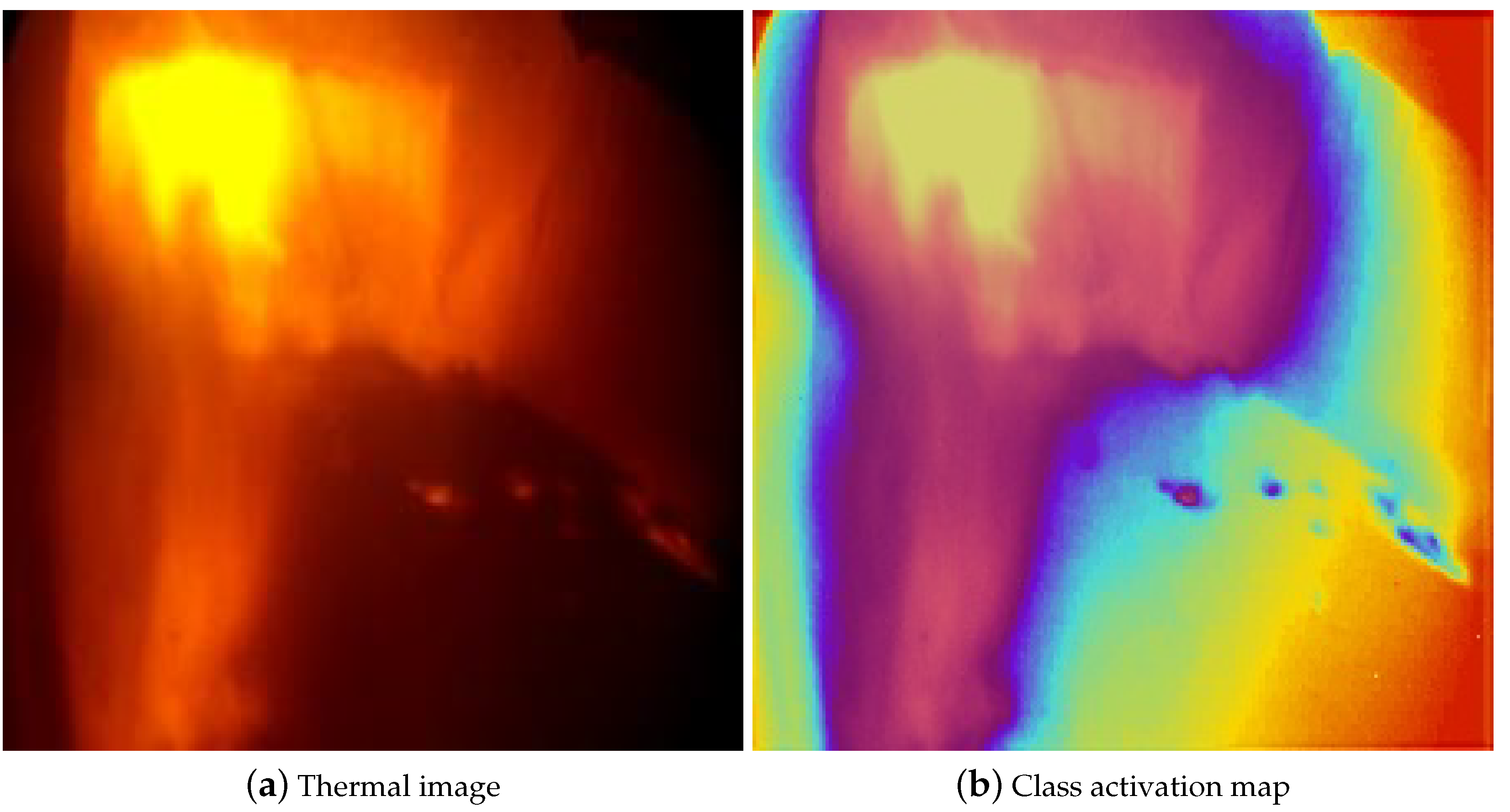 Applsci 14 01119 g005