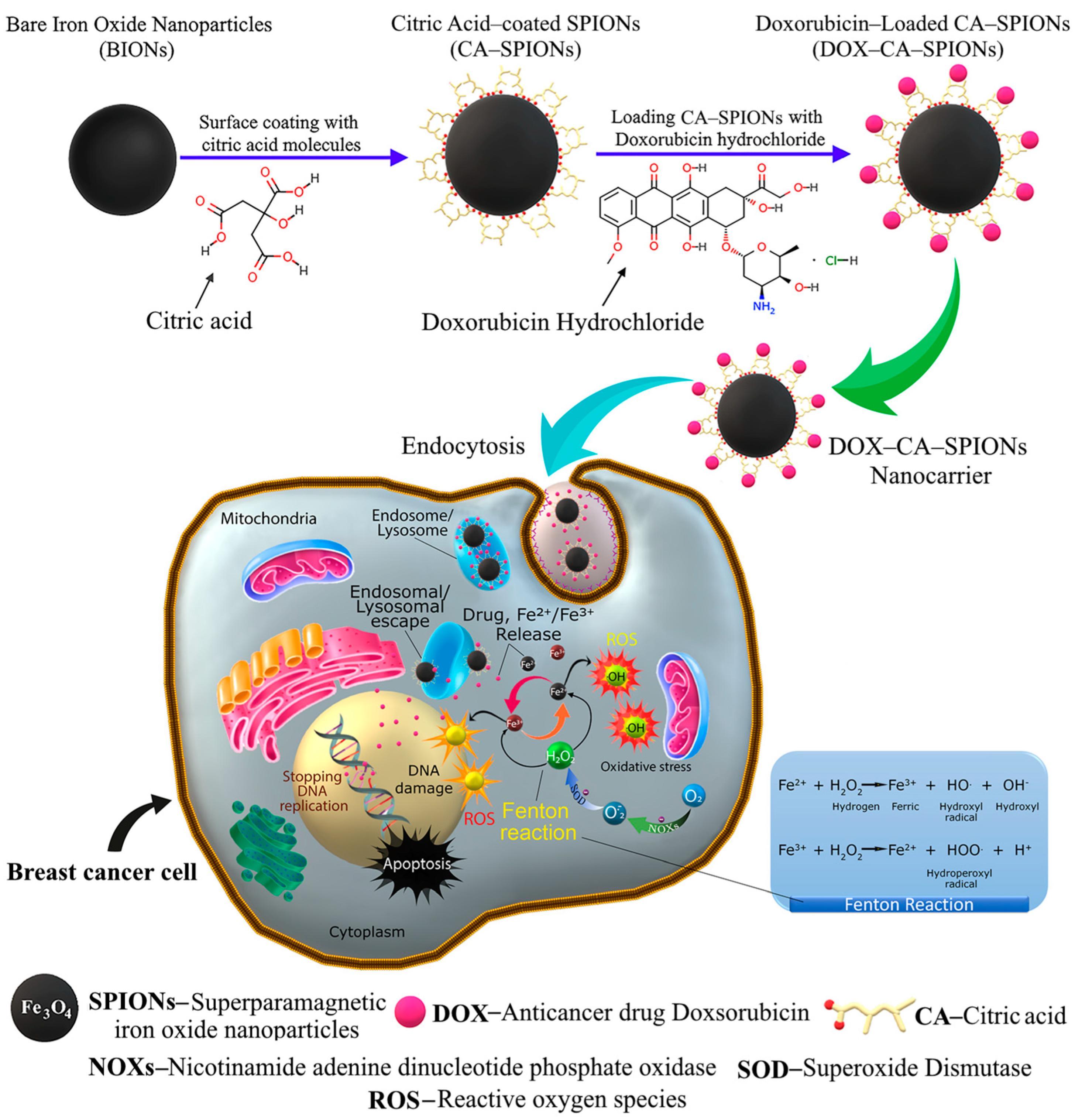 Applsci 14 01132 g004
