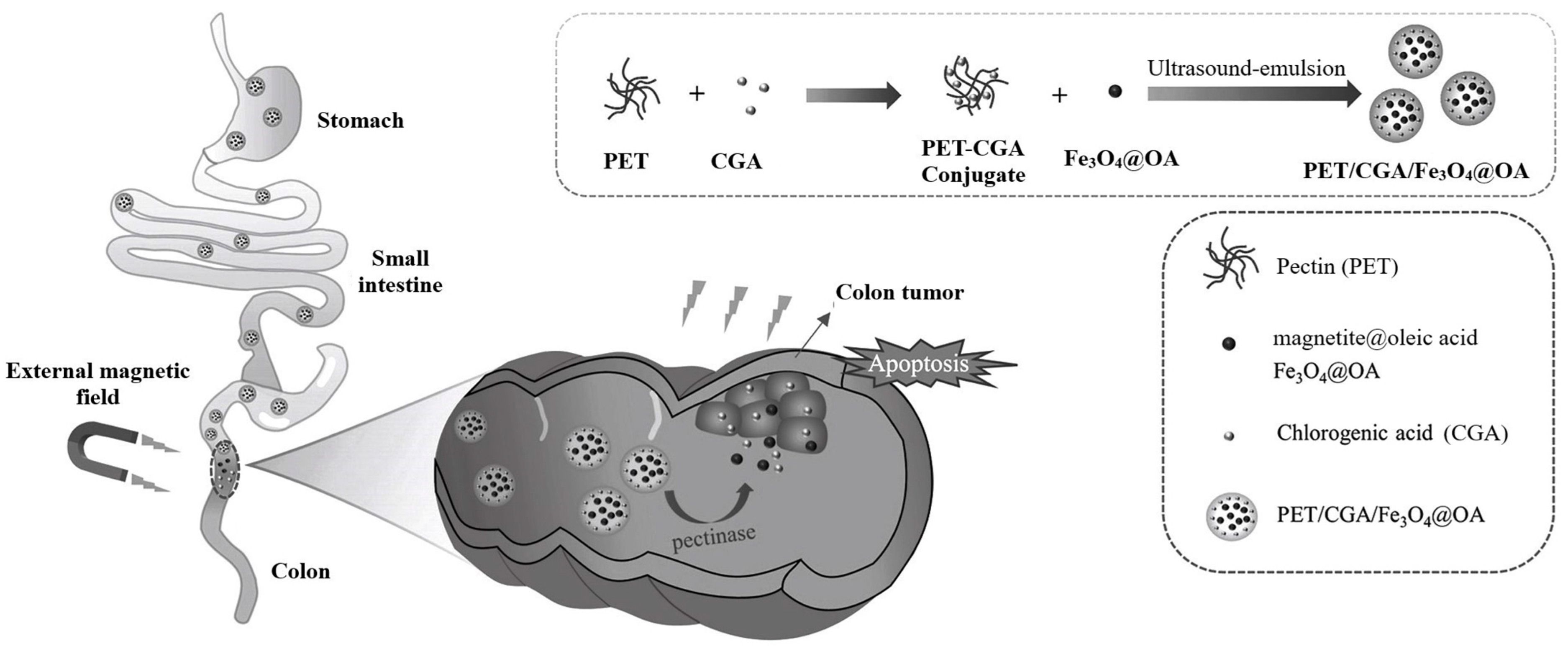 Applsci 14 01132 g006