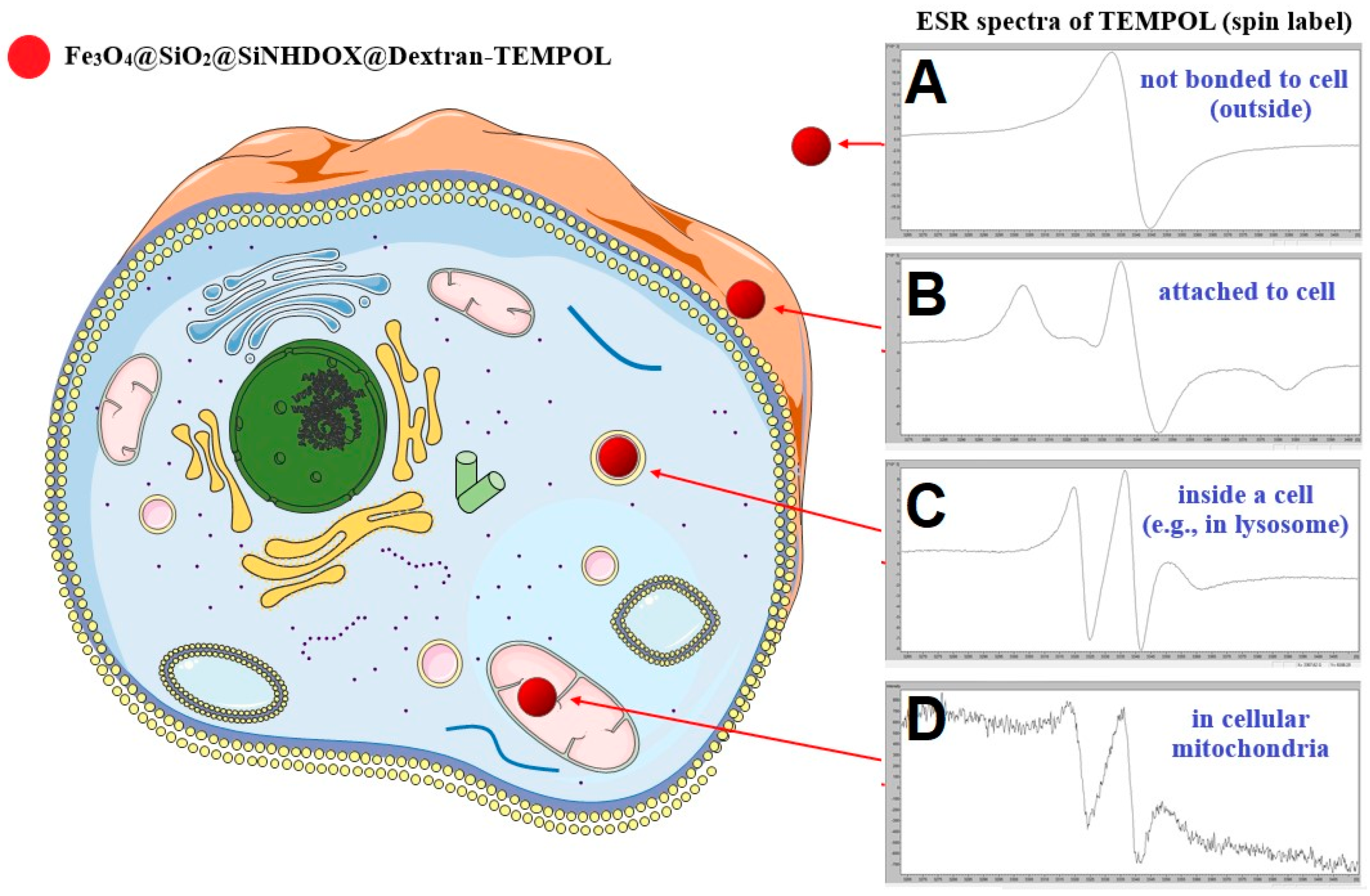 Applsci 14 01132 g009