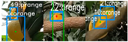 Applsci 14 01136 i003