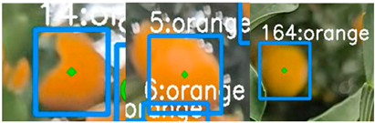 Applsci 14 01136 i004