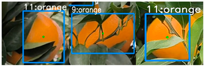 Applsci 14 01136 i005