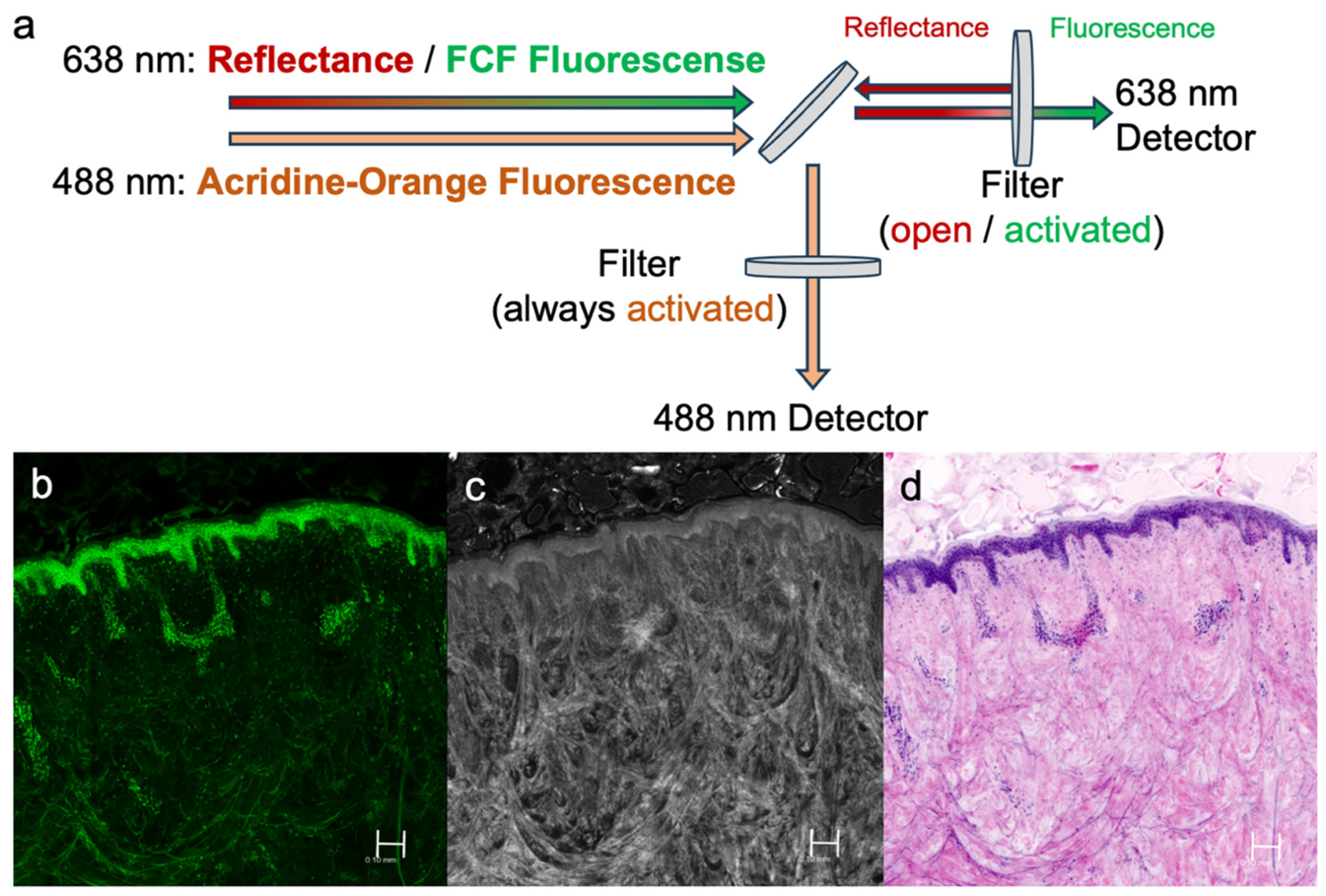 Applsci 14 01150 g001