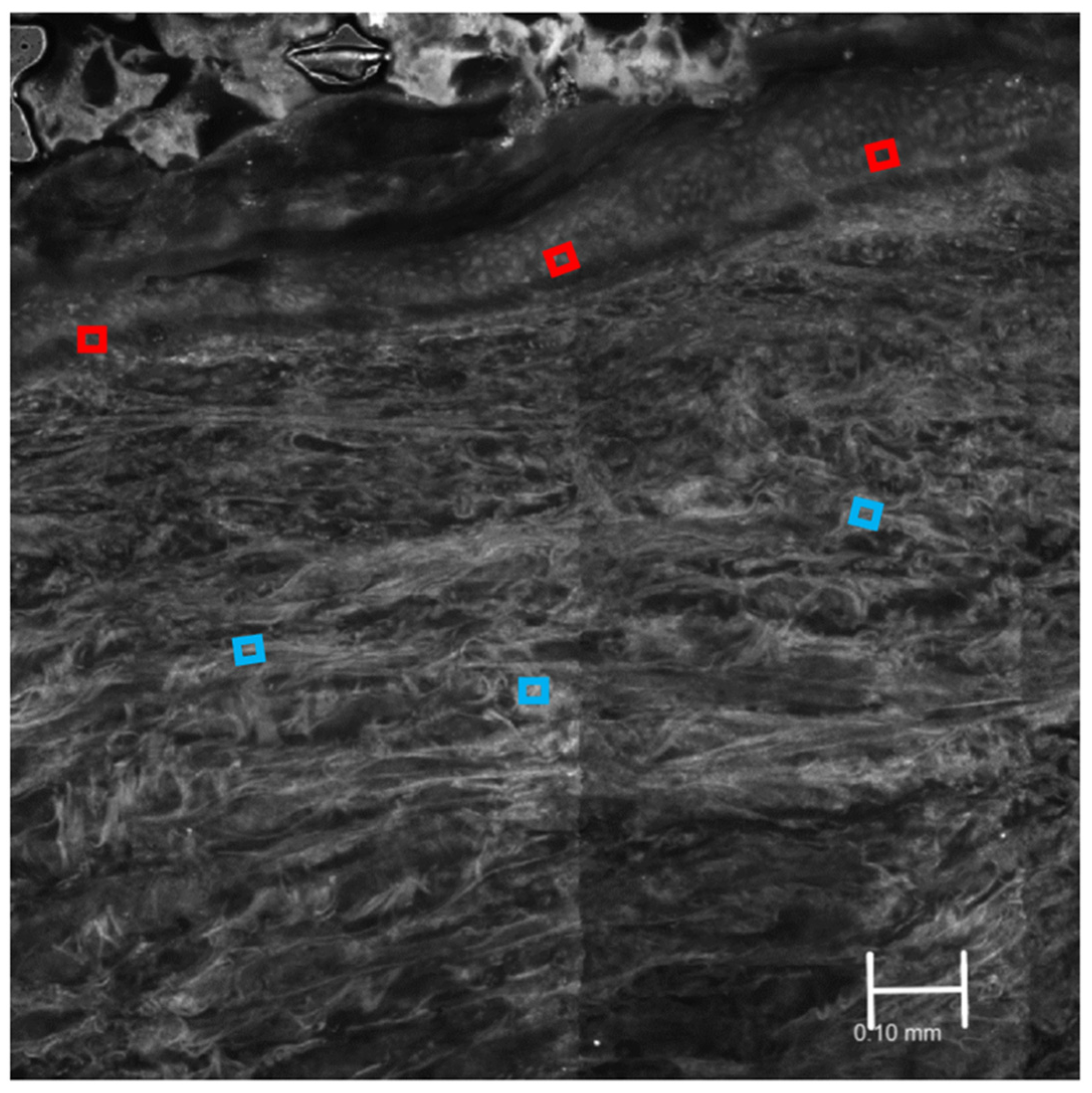 Applsci 14 01150 g002