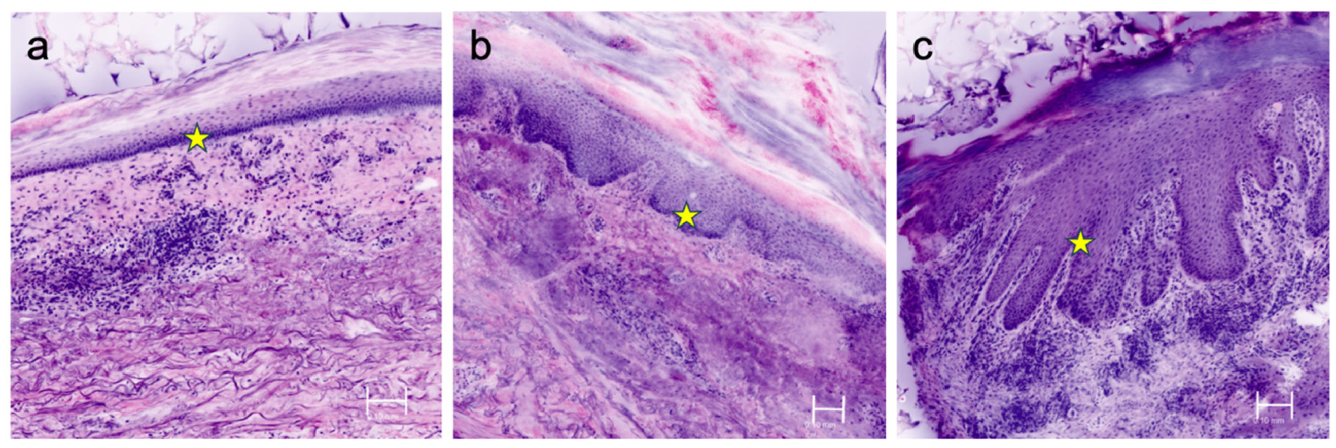 Applsci 14 01150 g003