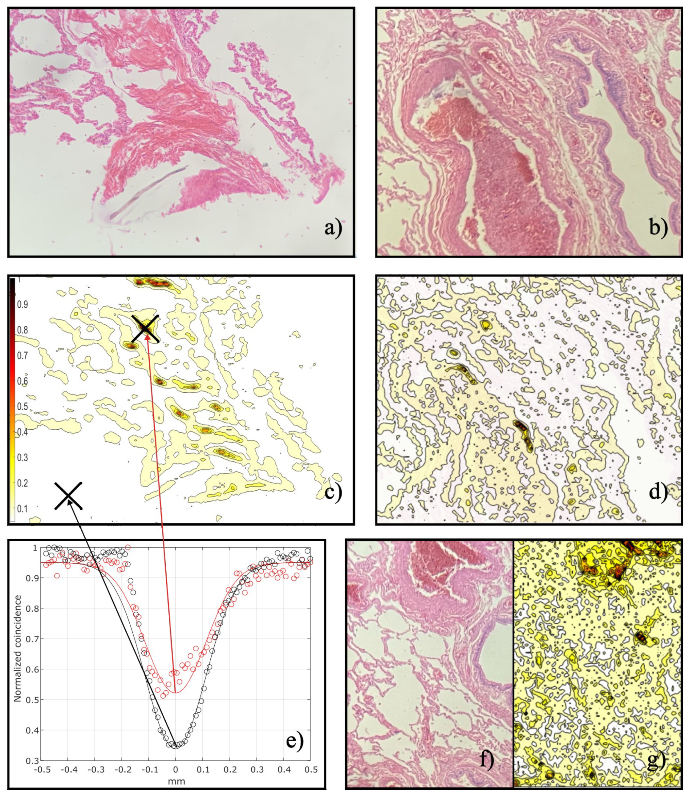 Applsci 14 01168 g004 Applsci 14 01168 g004