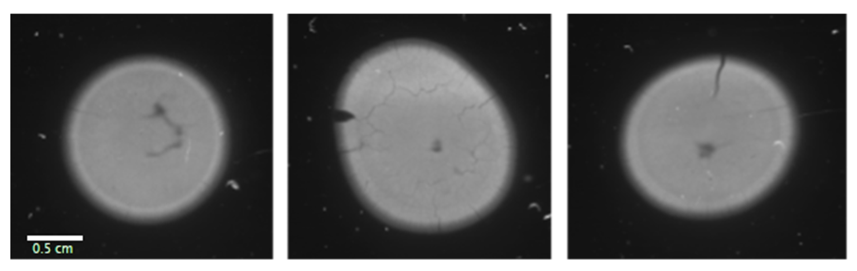 Applsci 14 01171 g001