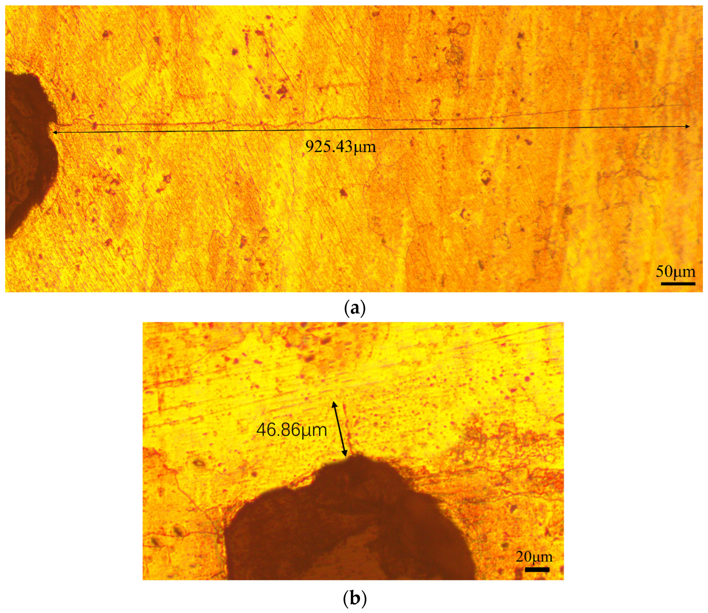 Applsci 14 01184 g007 Applsci 14 01184 g007