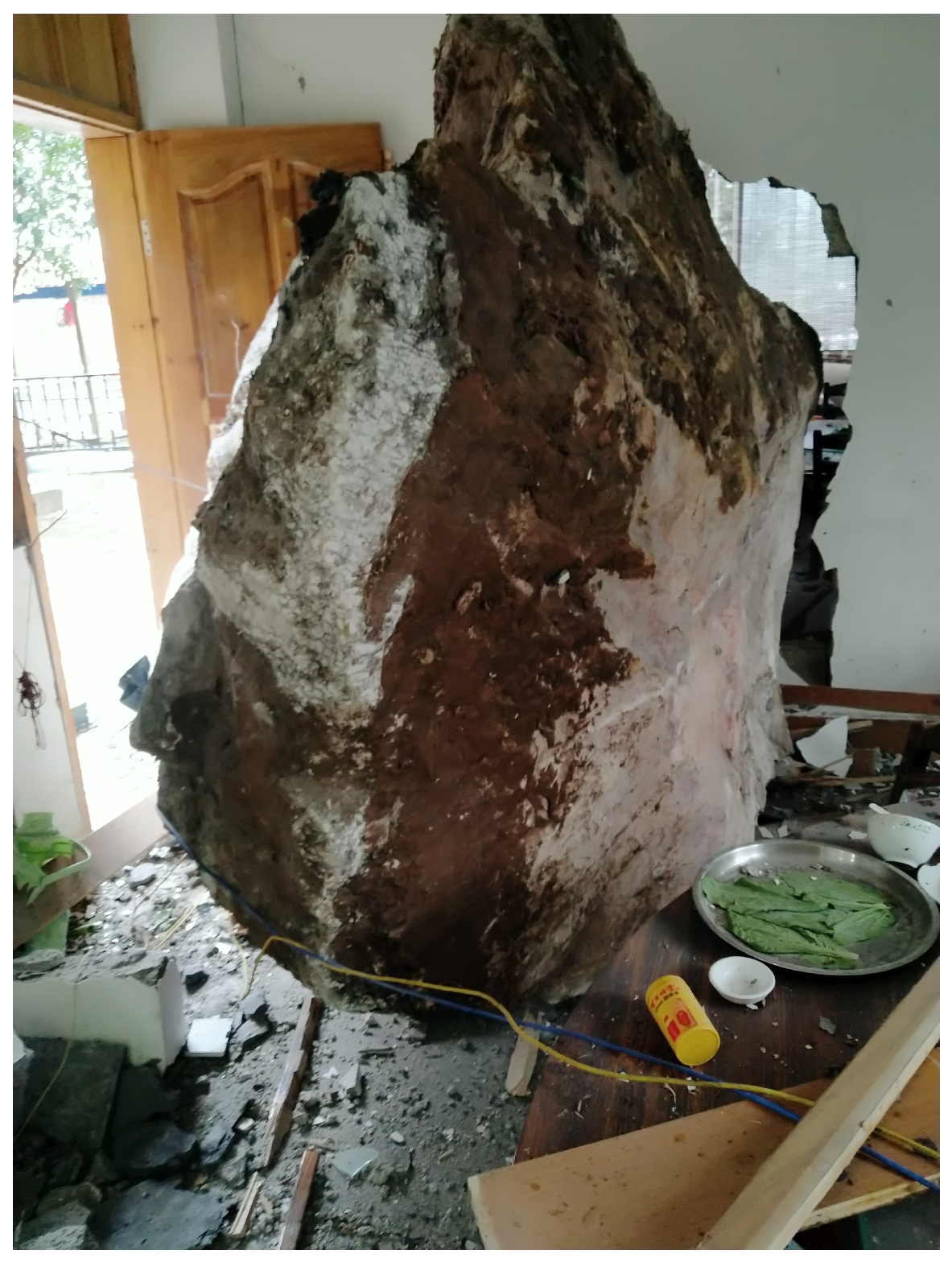 Applsci 14 01236 g001