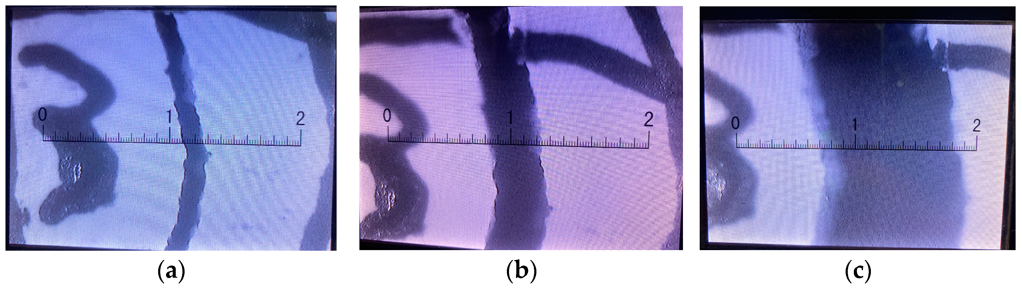 Applsci 14 01237 g006