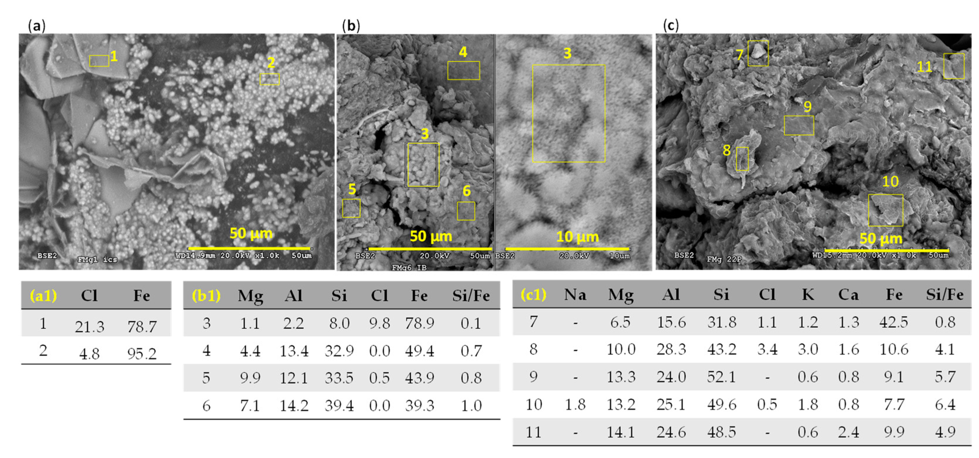 Applsci 14 01259 g005