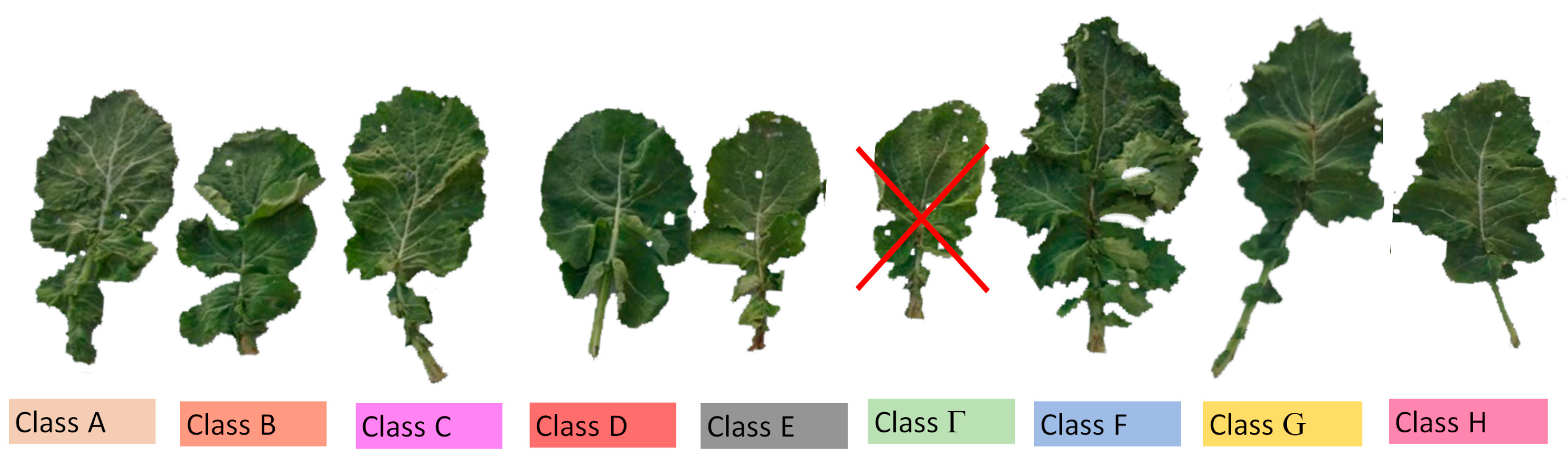 Applsci 14 01277 g001