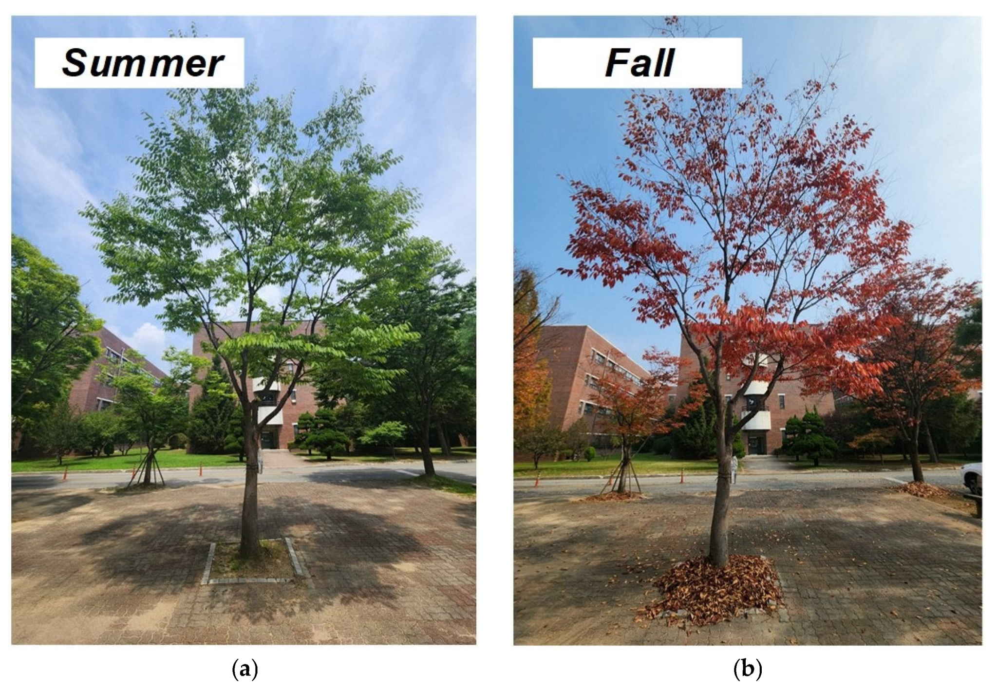 Applsci 14 01305 g001