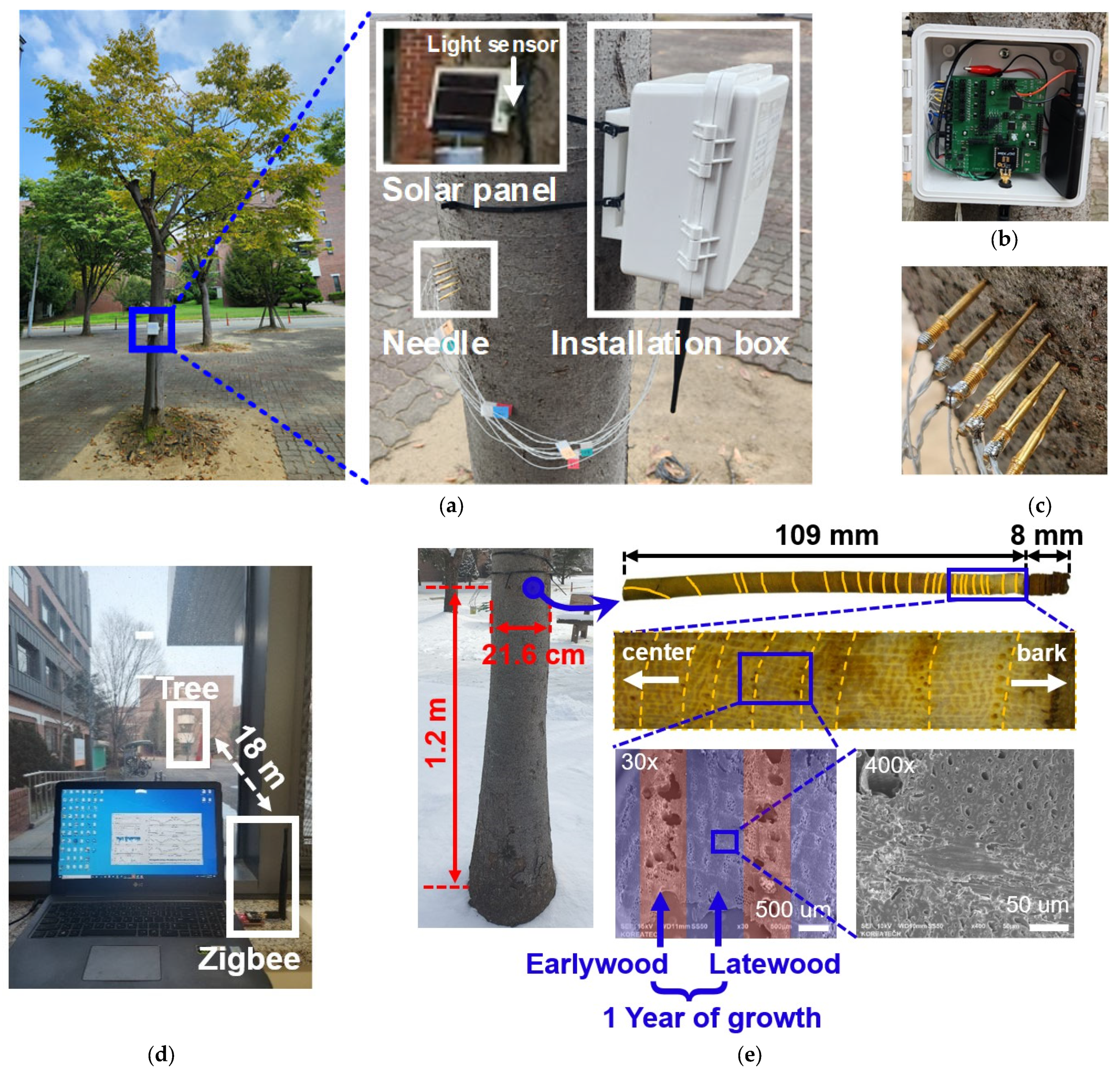 Applsci 14 01305 g008