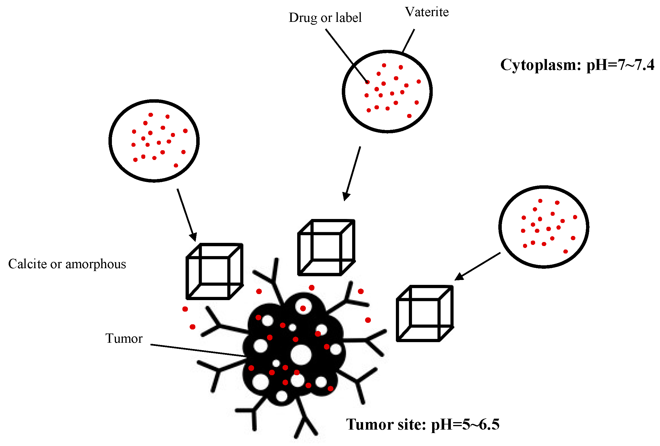 Applsci 14 01336 g001