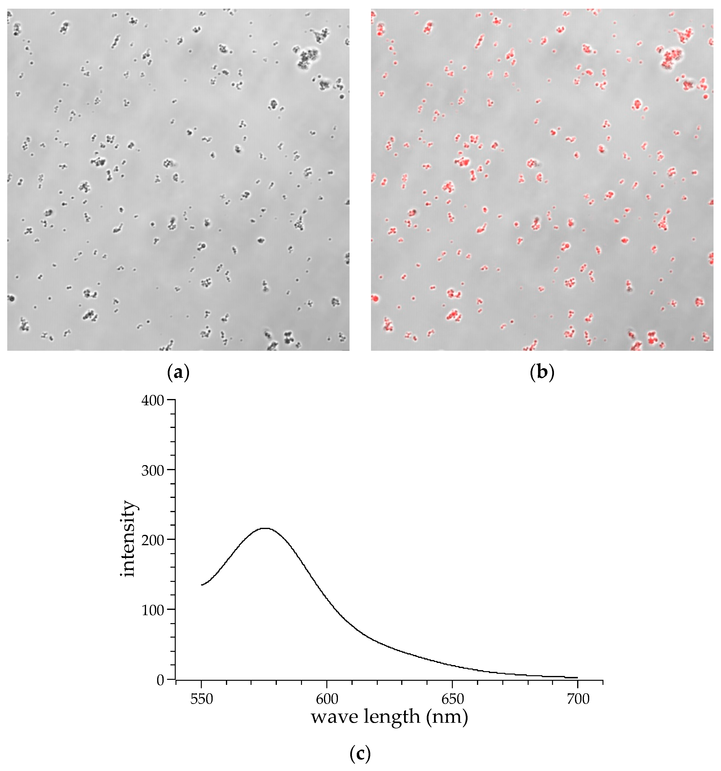 Applsci 14 01336 g009