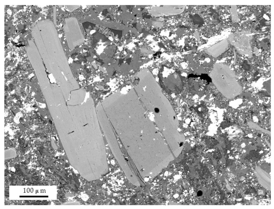 Applsci 14 01340 i007