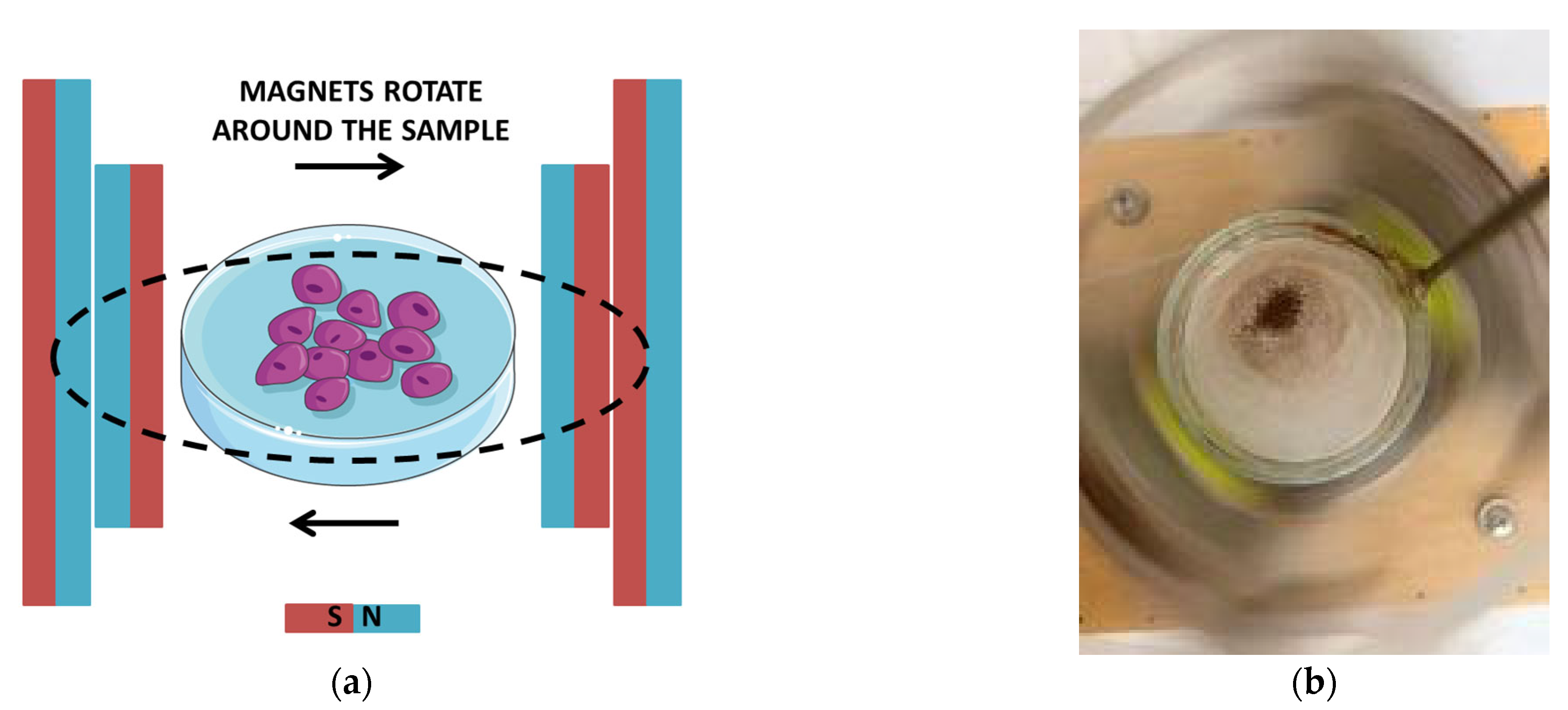 Applsci 14 01343 g002