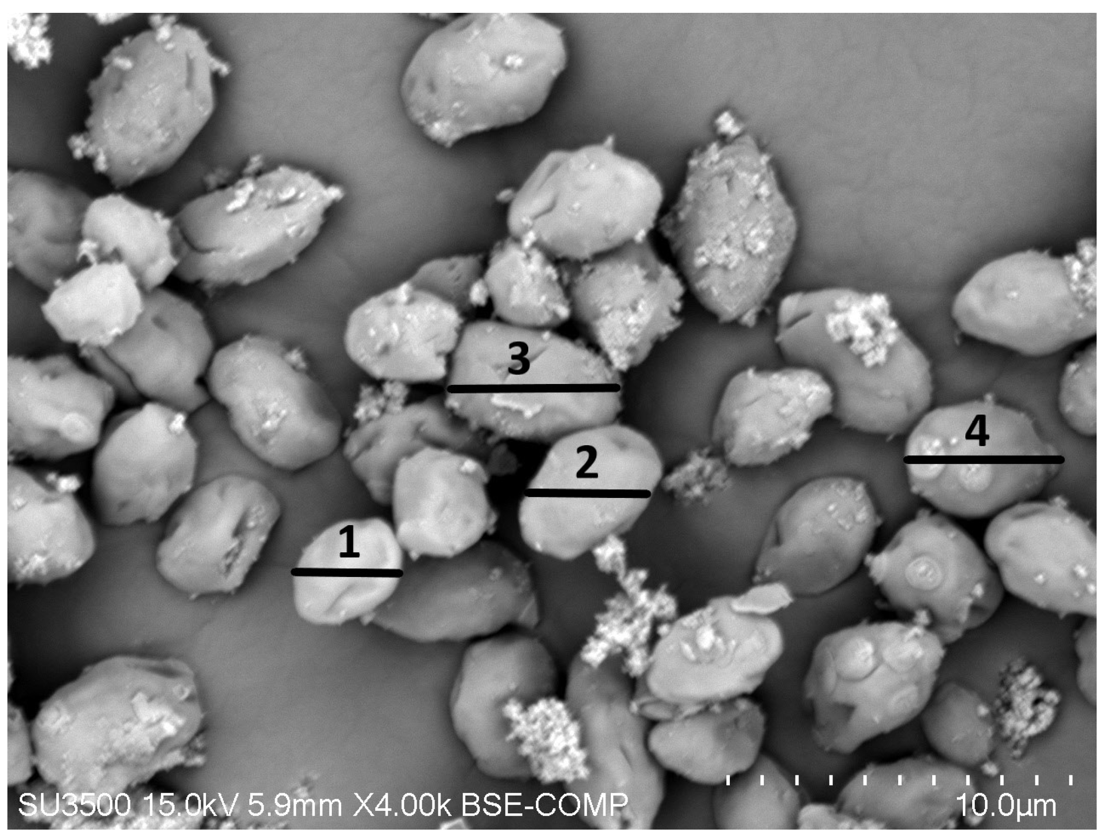 Applsci 14 01343 g007