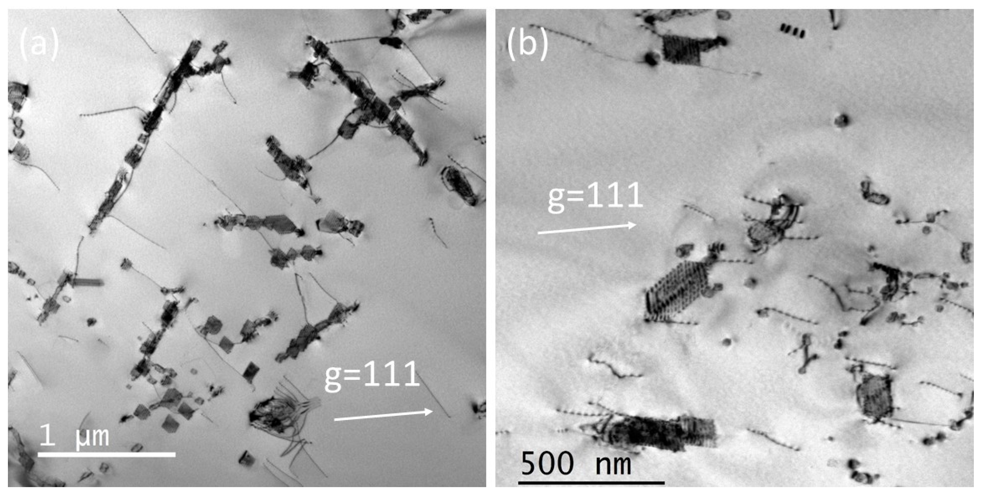 Applsci 14 01347 g018