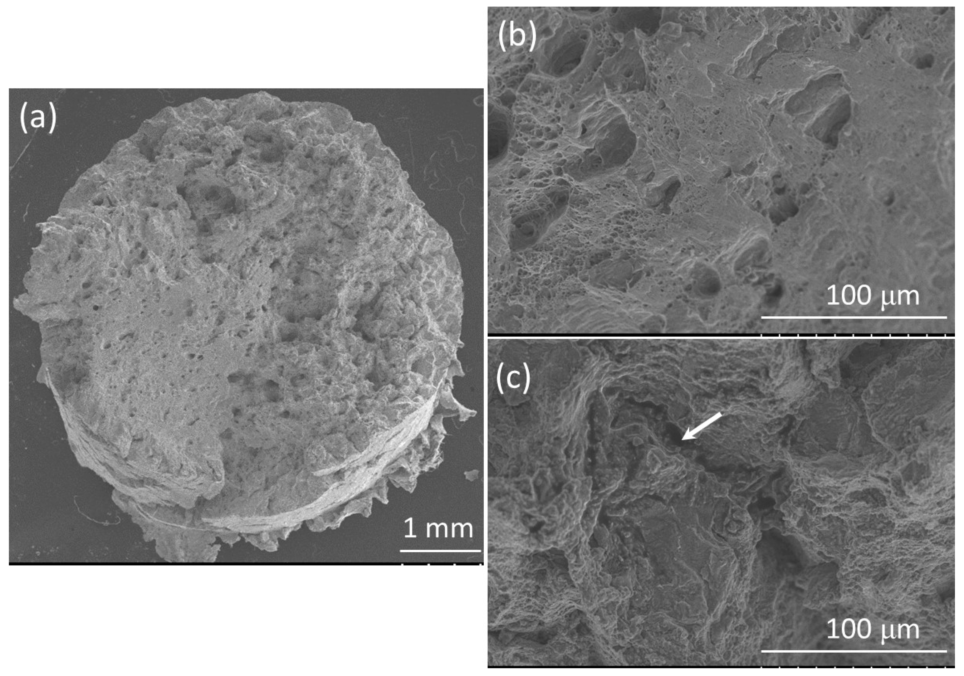 Applsci 14 01347 g019