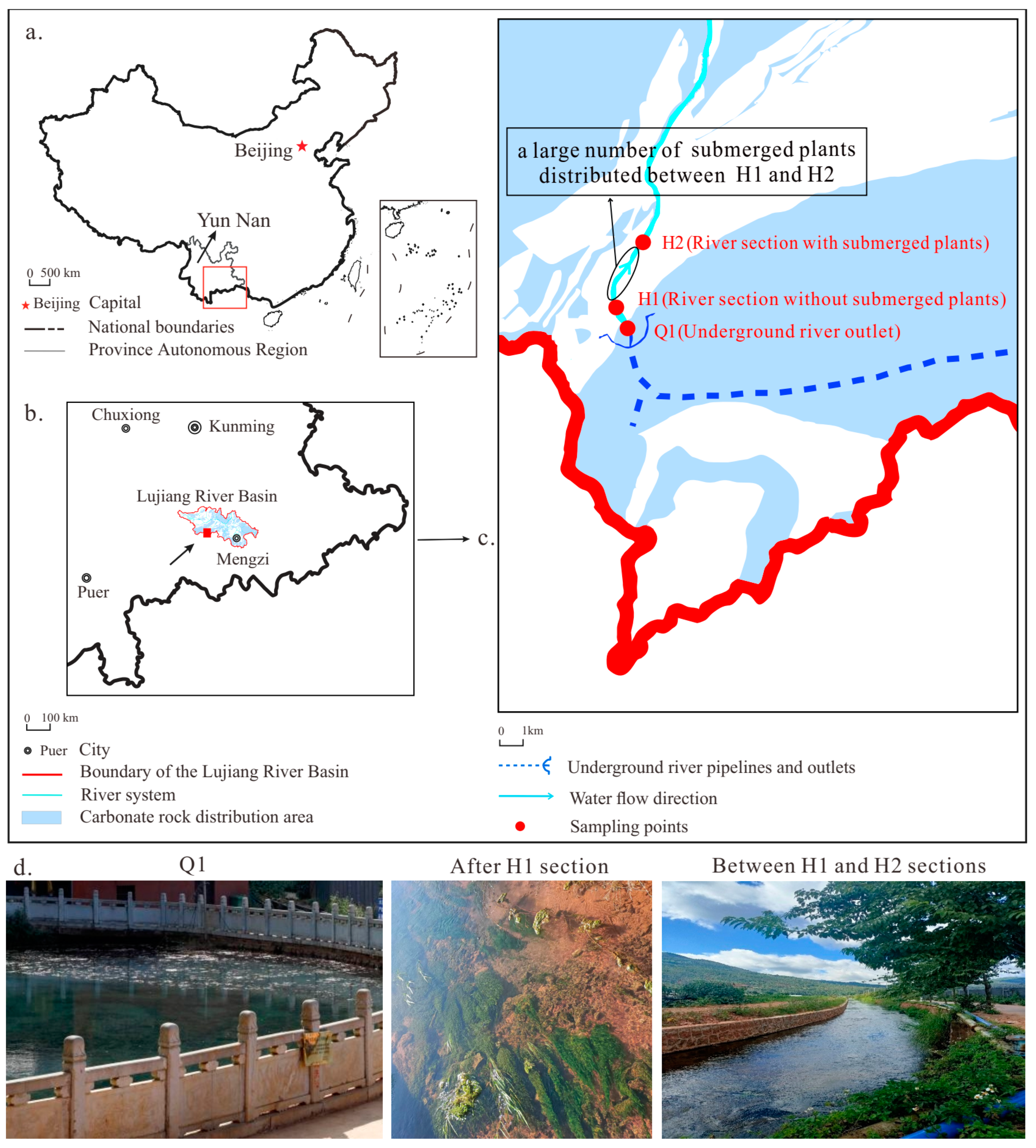 Applsci 14 01395 g001