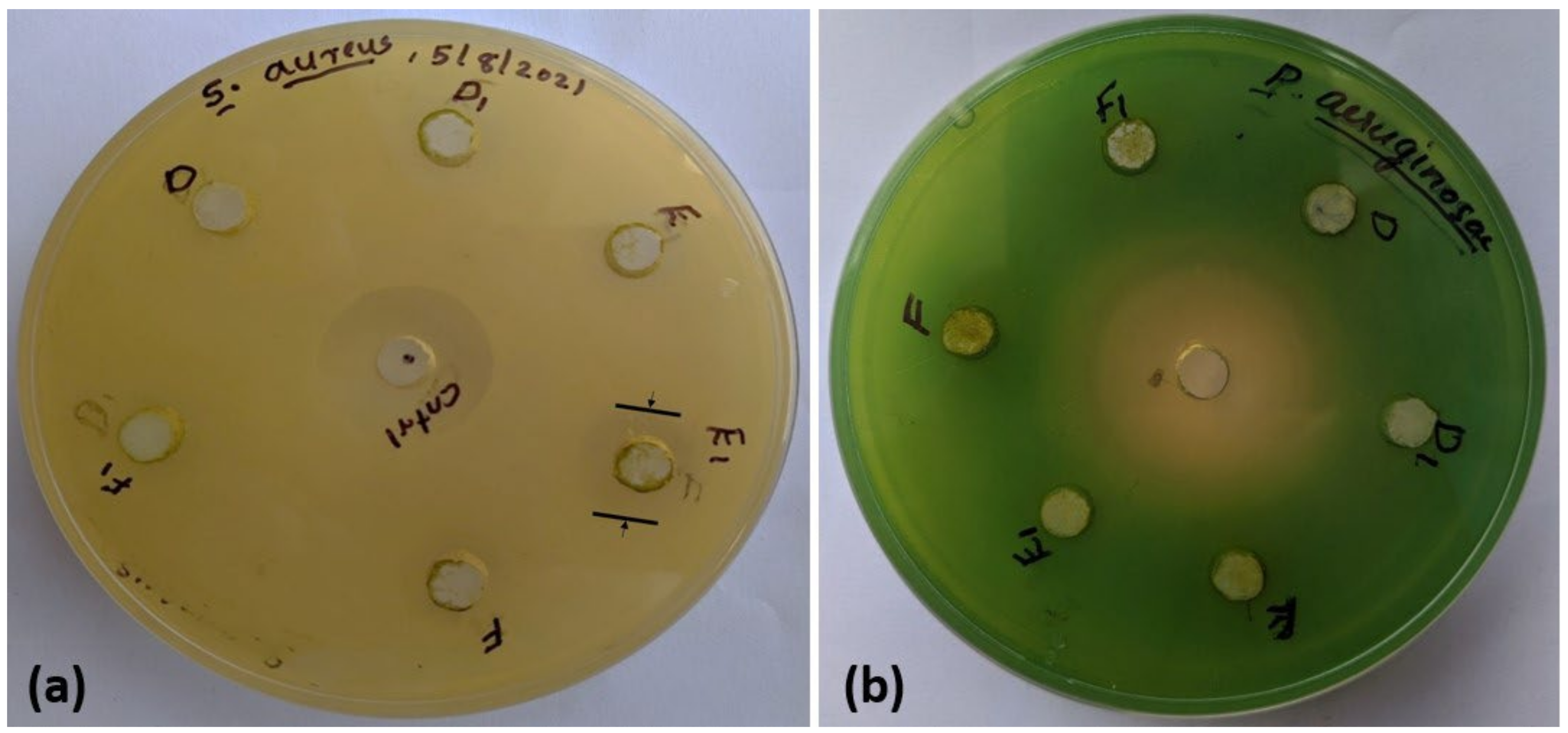 Applsci 14 01419 g009