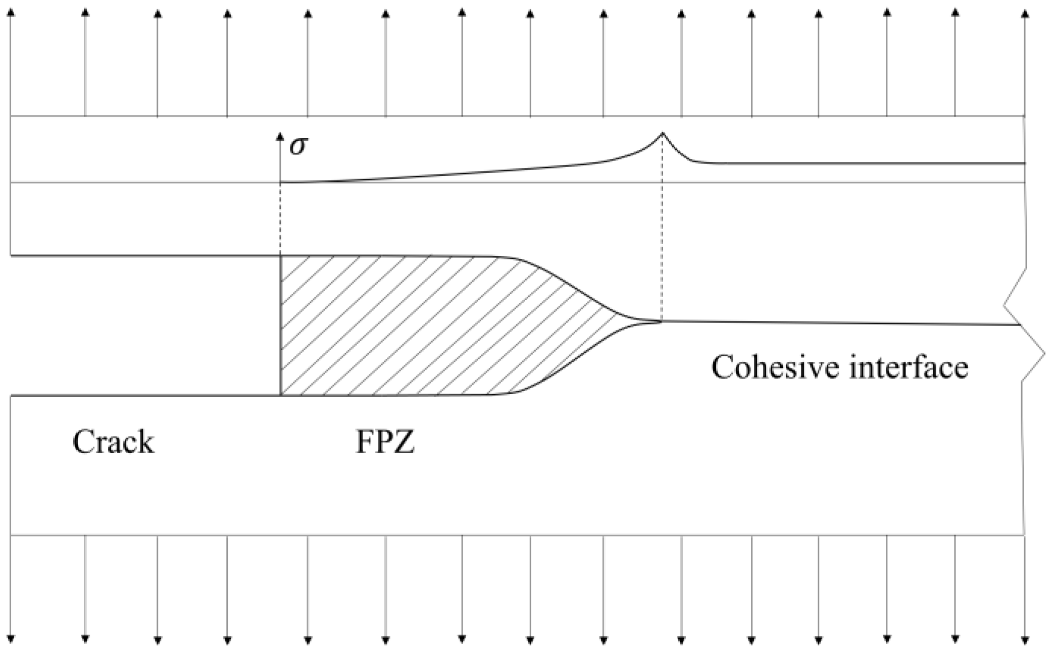 Applsci 14 01484 g004