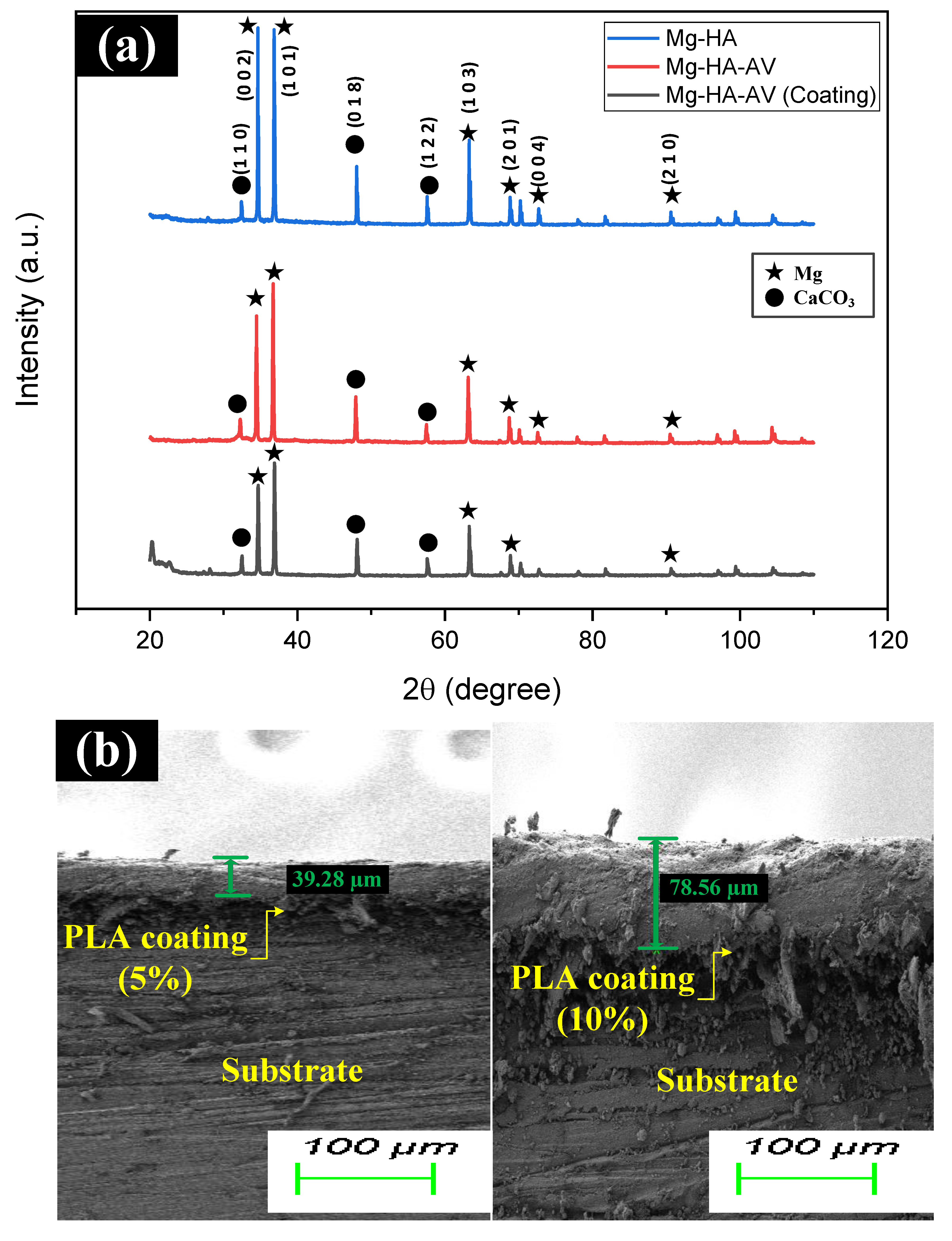 Applsci 14 01512 g003