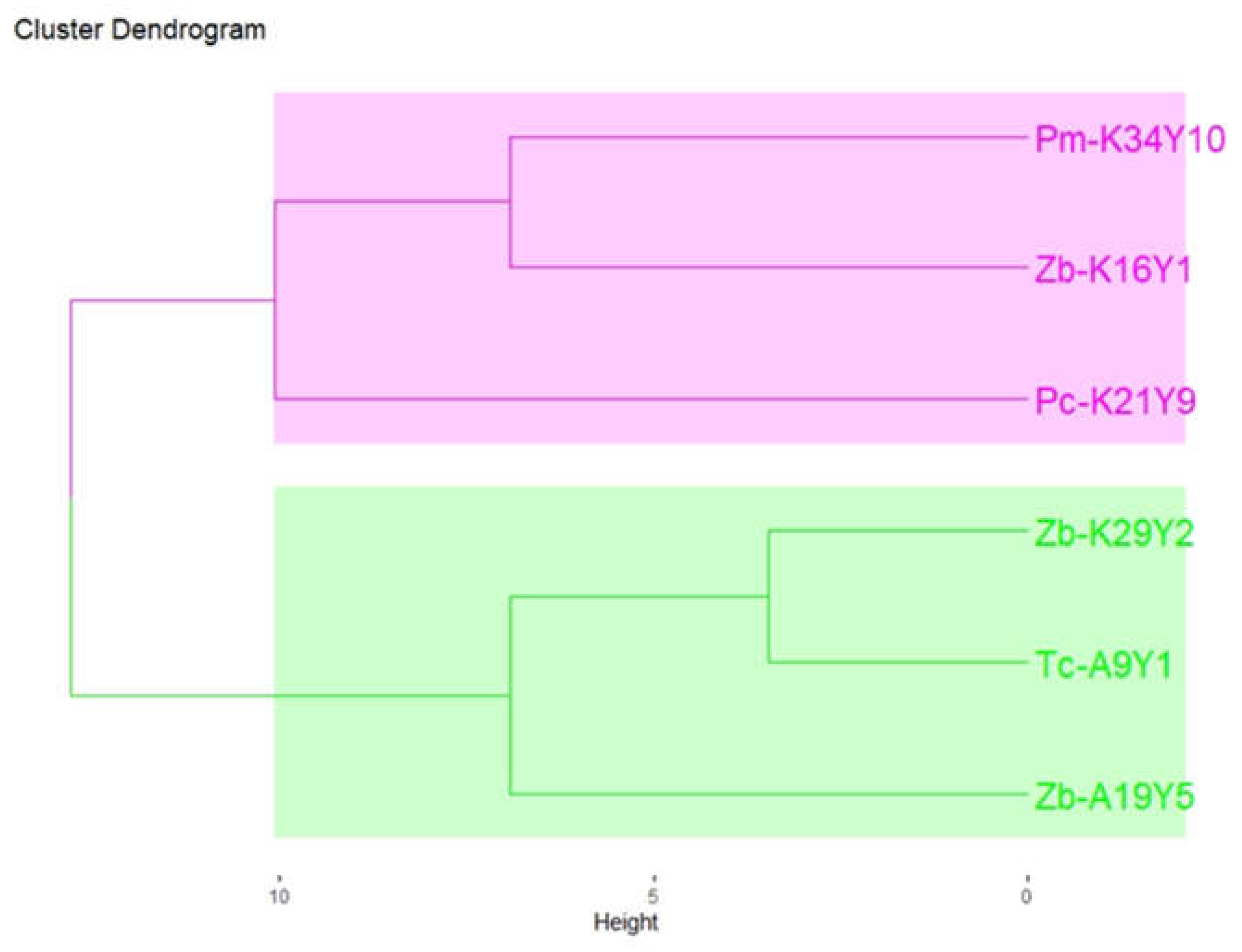 Applsci 14 01522 g002