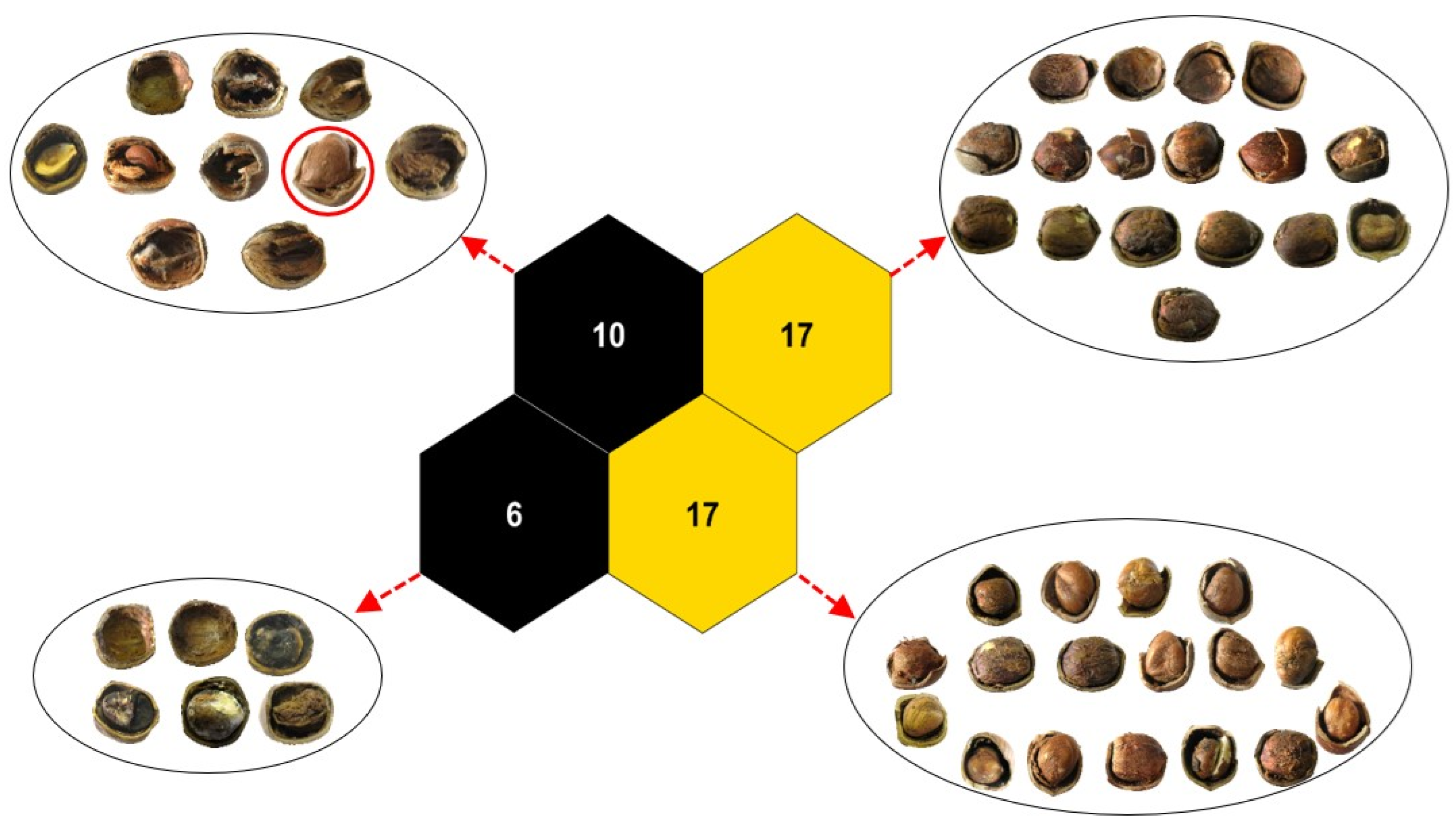Applsci 14 01555 g008 Applsci 14 01555 g008
