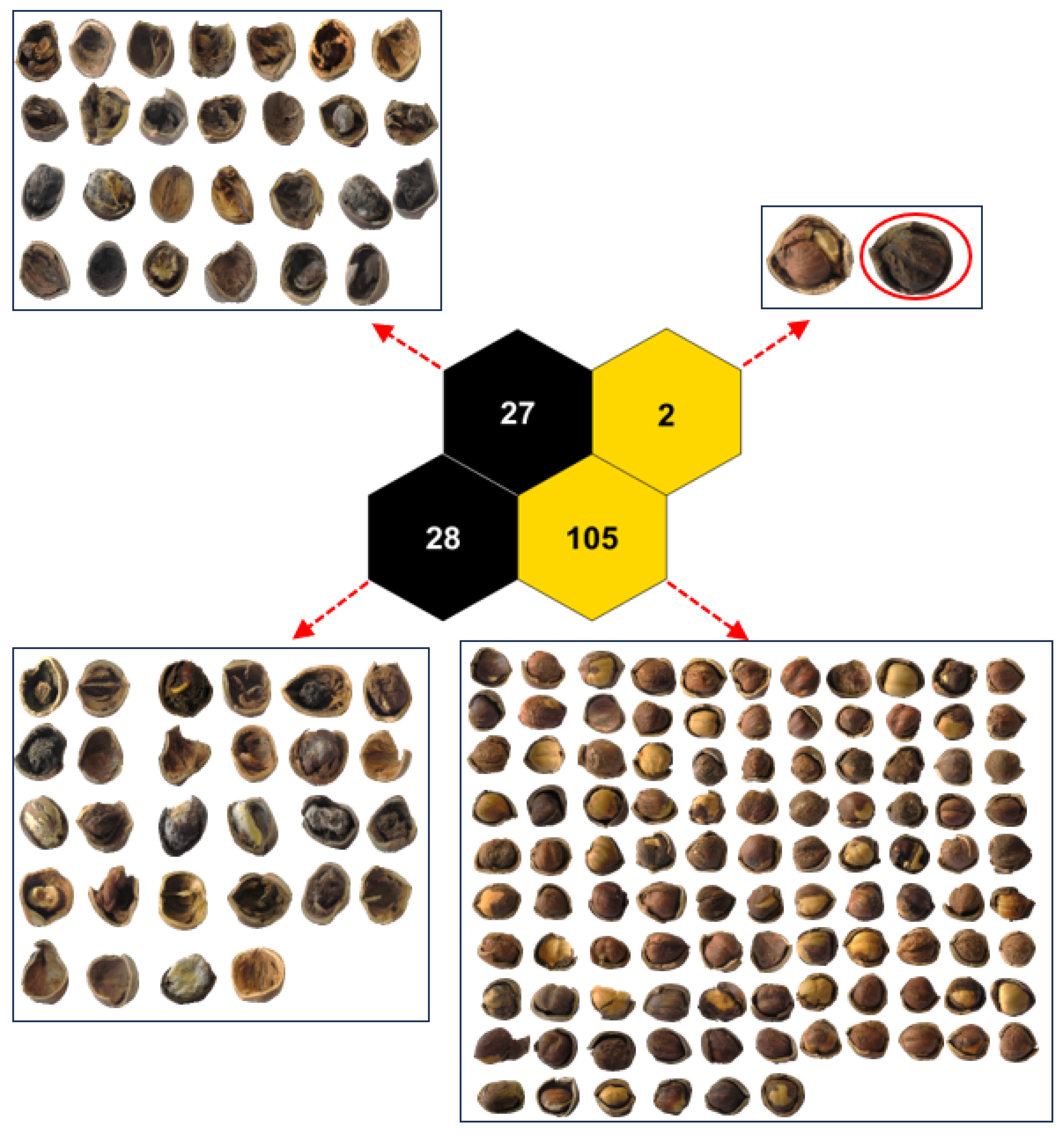 Applsci 14 01555 g009 Applsci 14 01555 g009