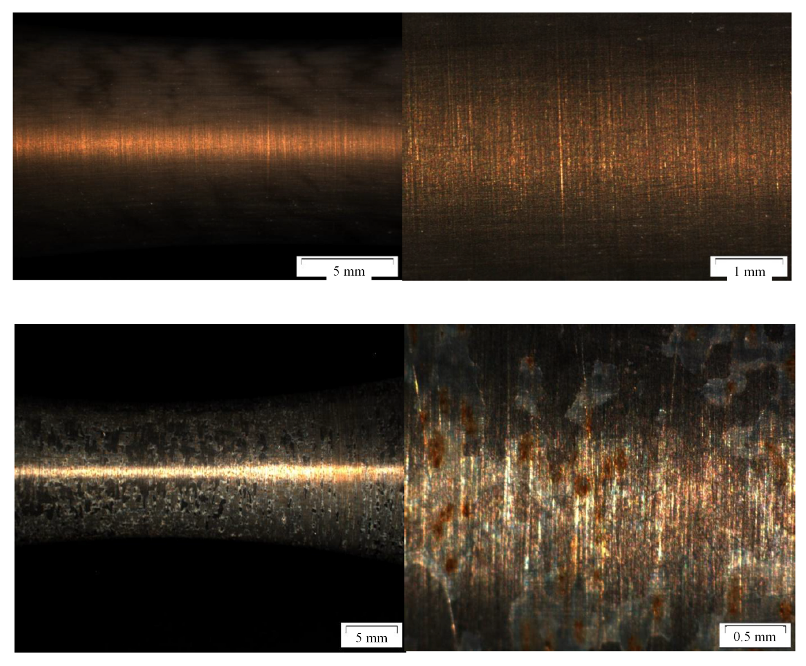 Applsci 14 01575 g005