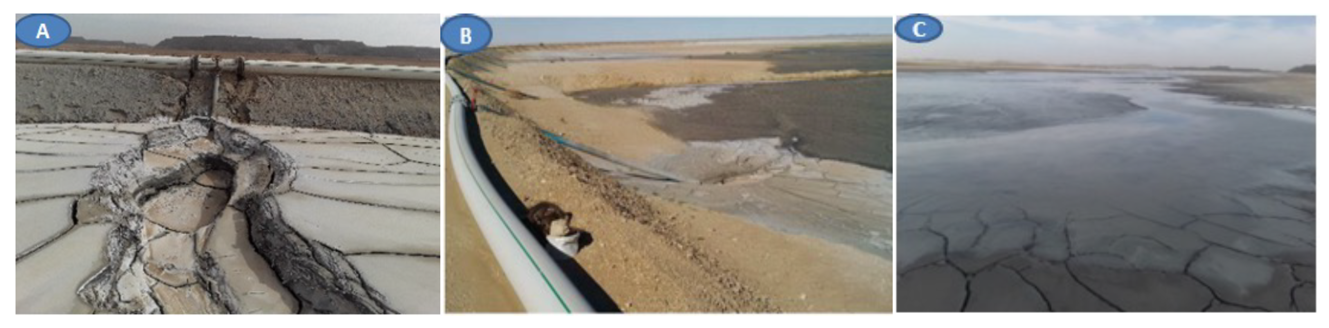 Applsci 14 01591 g006