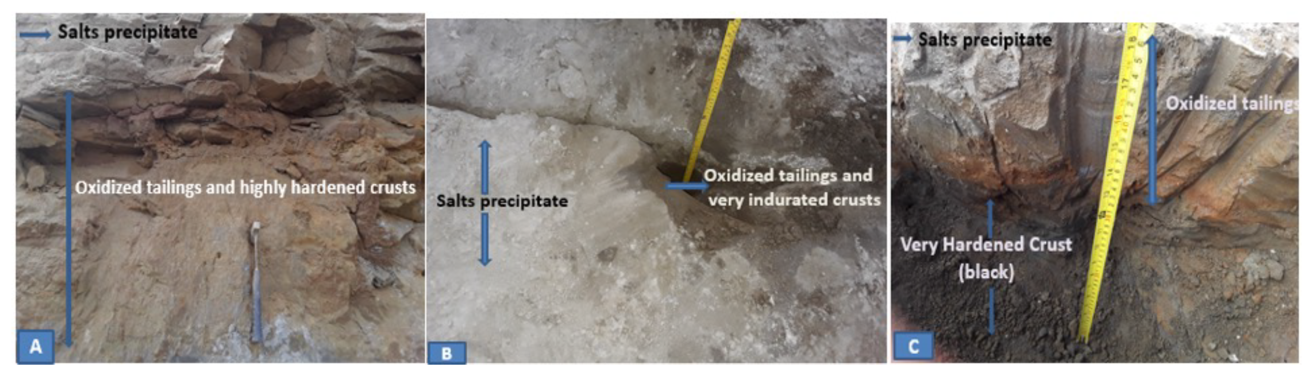 Applsci 14 01591 g007