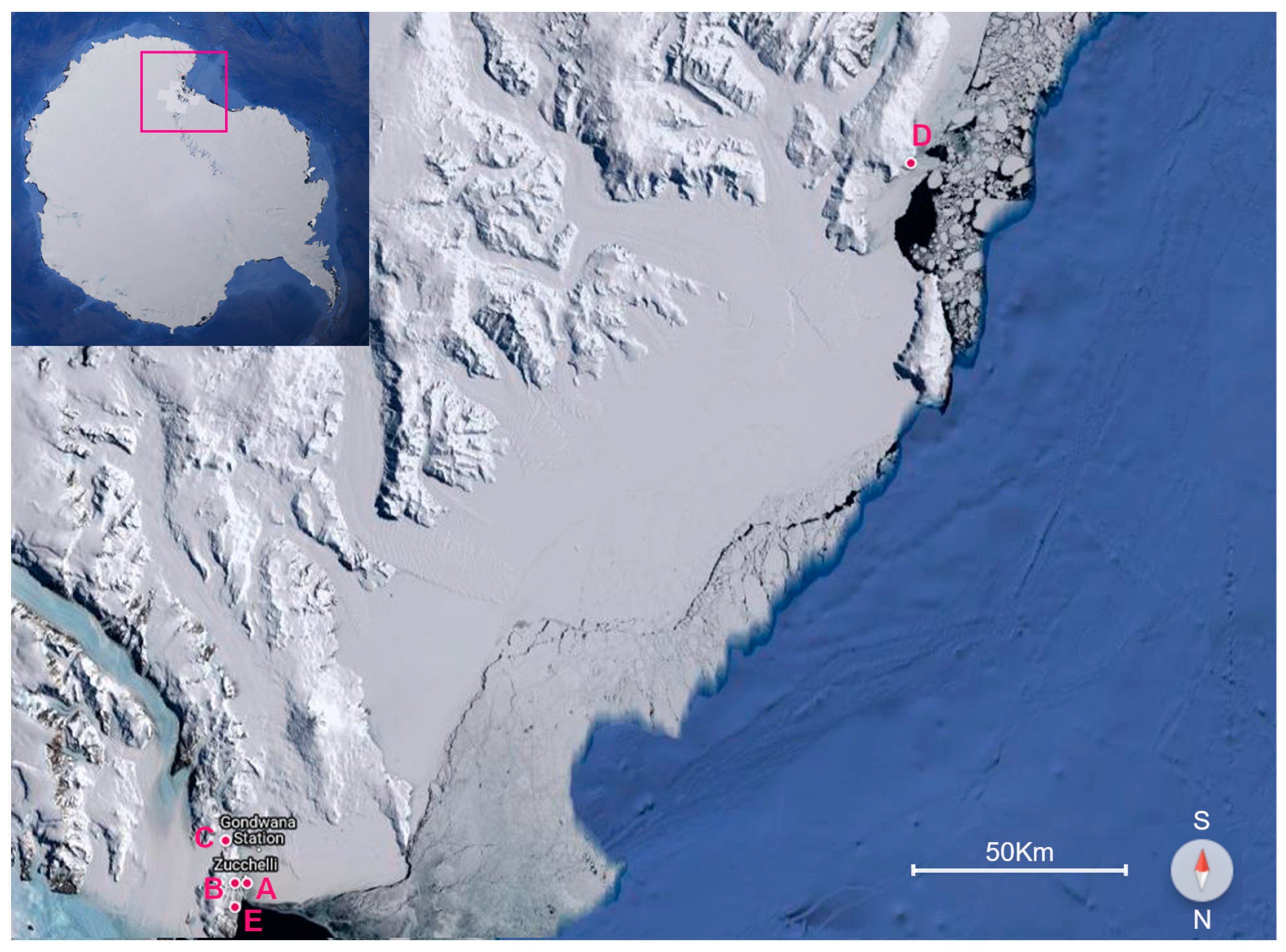 Applsci 14 01597 g001