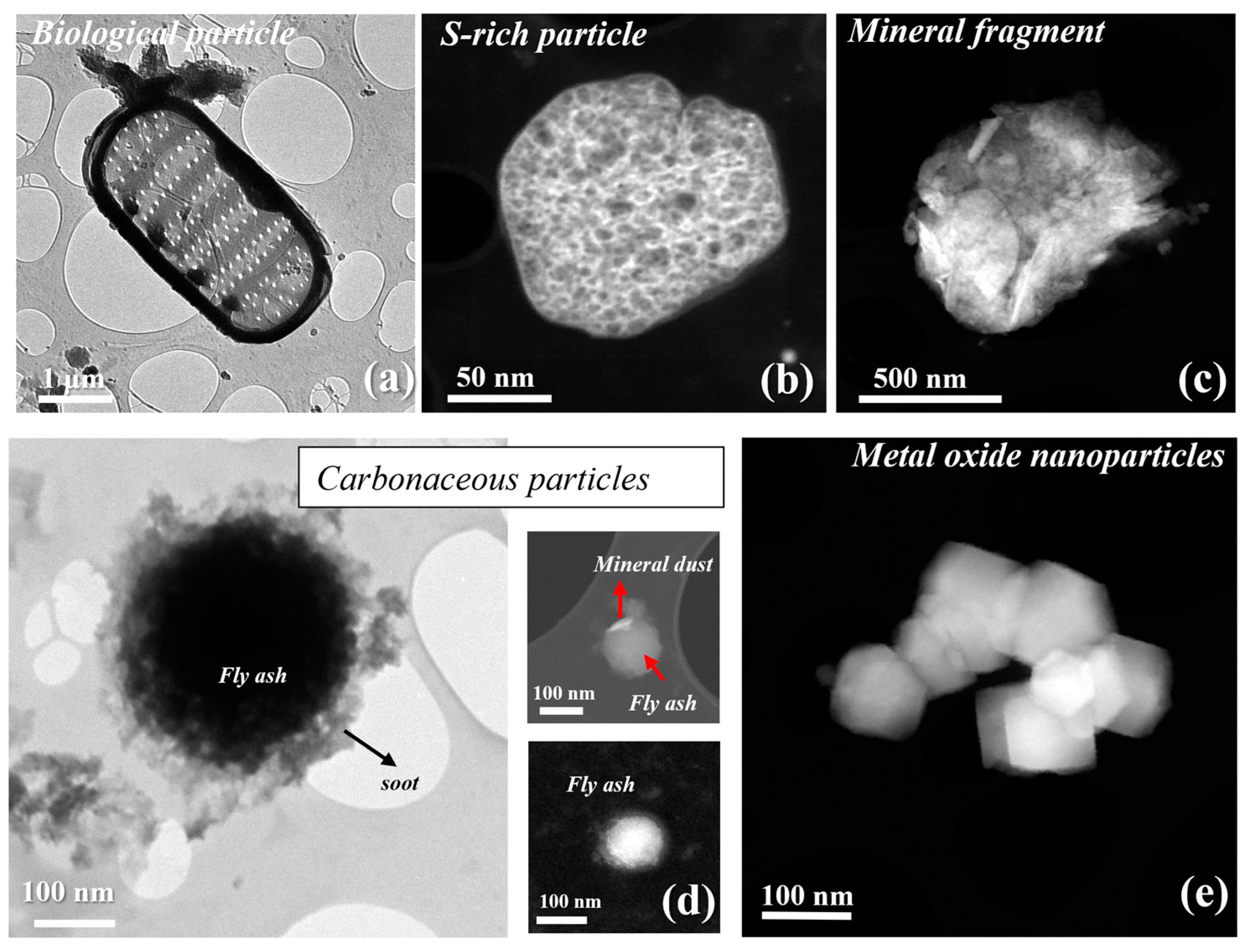 Applsci 14 01597 g003