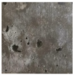 Applsci 14 01607 i005