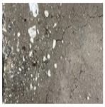 Applsci 14 01607 i007