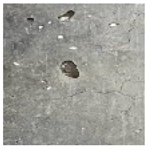 Applsci 14 01607 i009