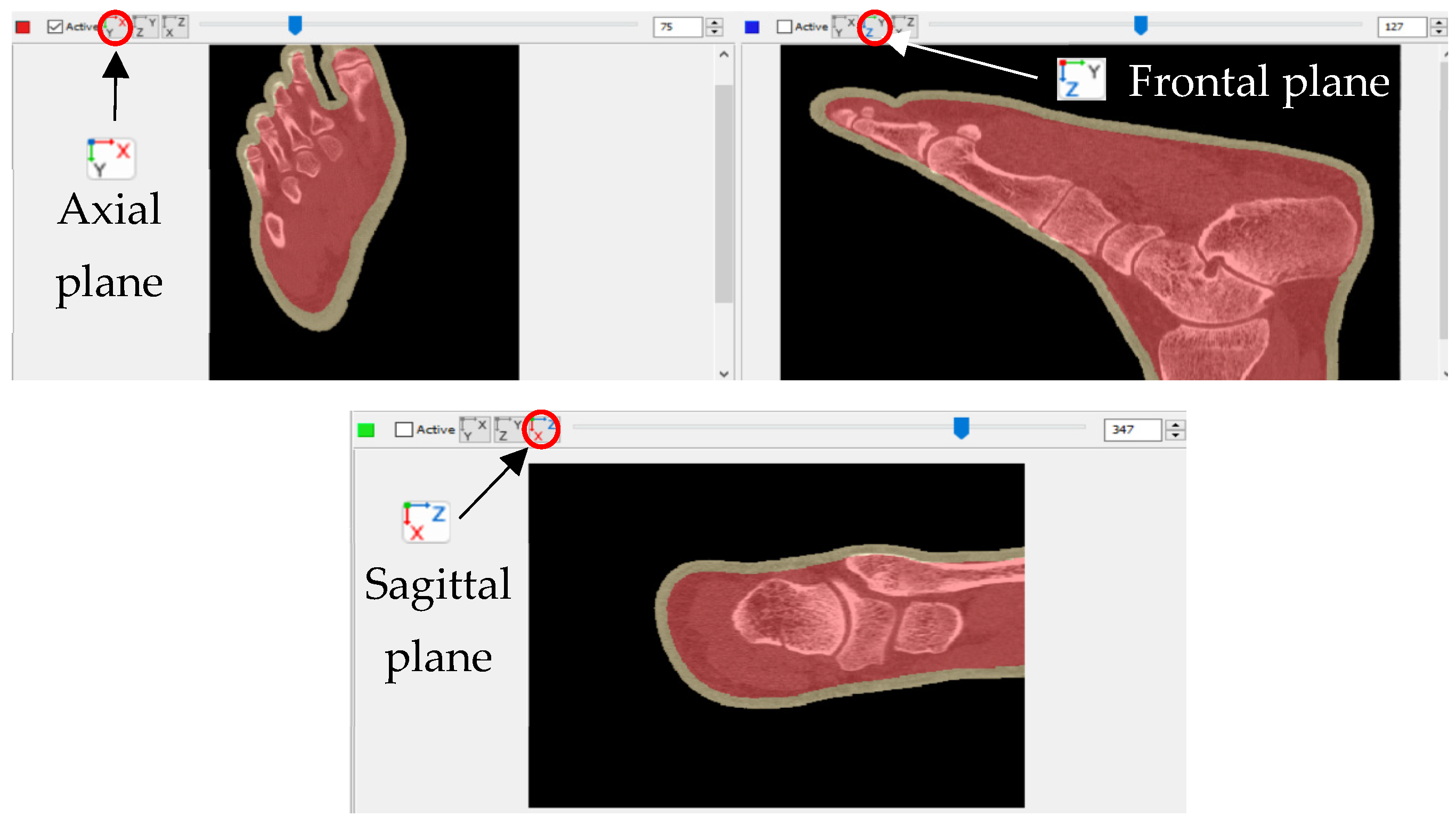 Applsci 14 01650 g001 Applsci 14 01650 g001