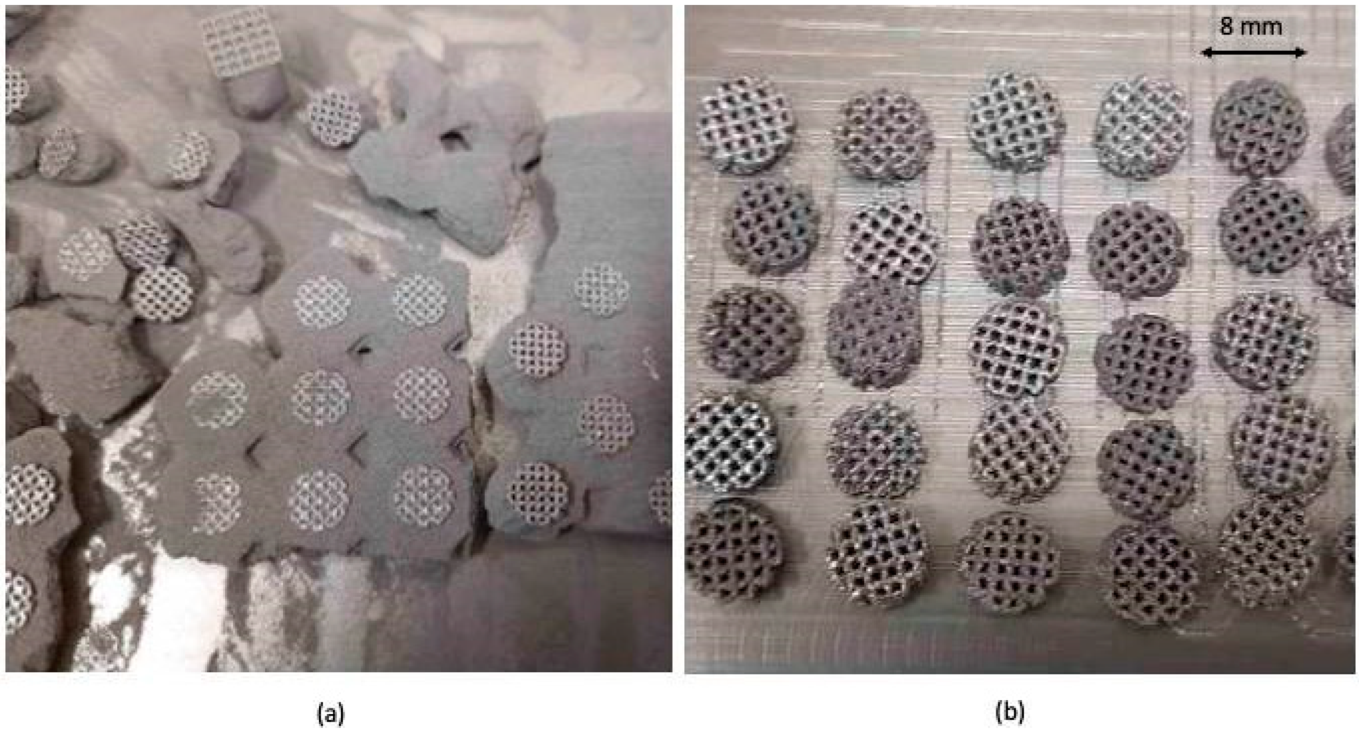 Applsci 14 01656 g002