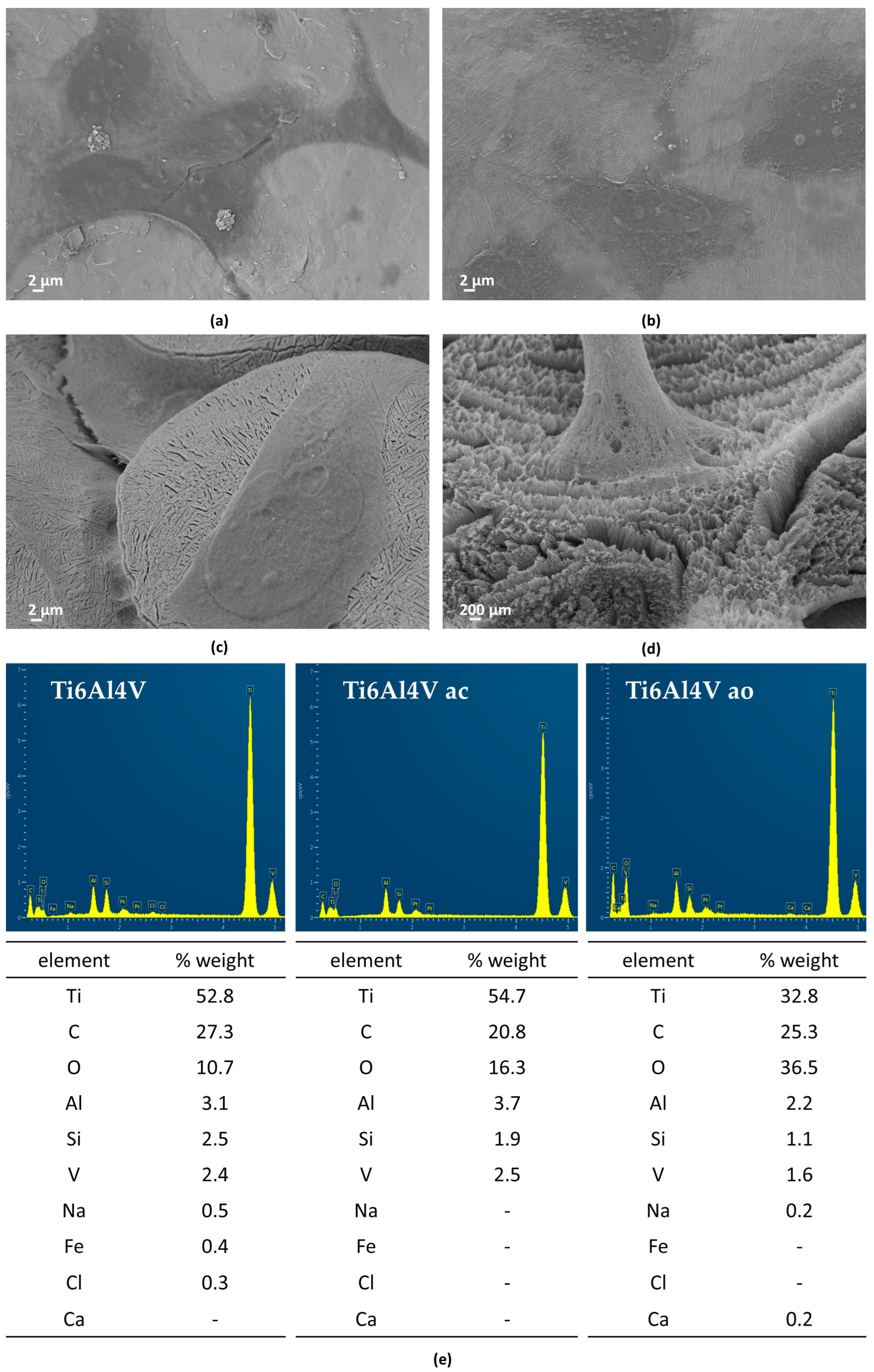 Applsci 14 01656 g012