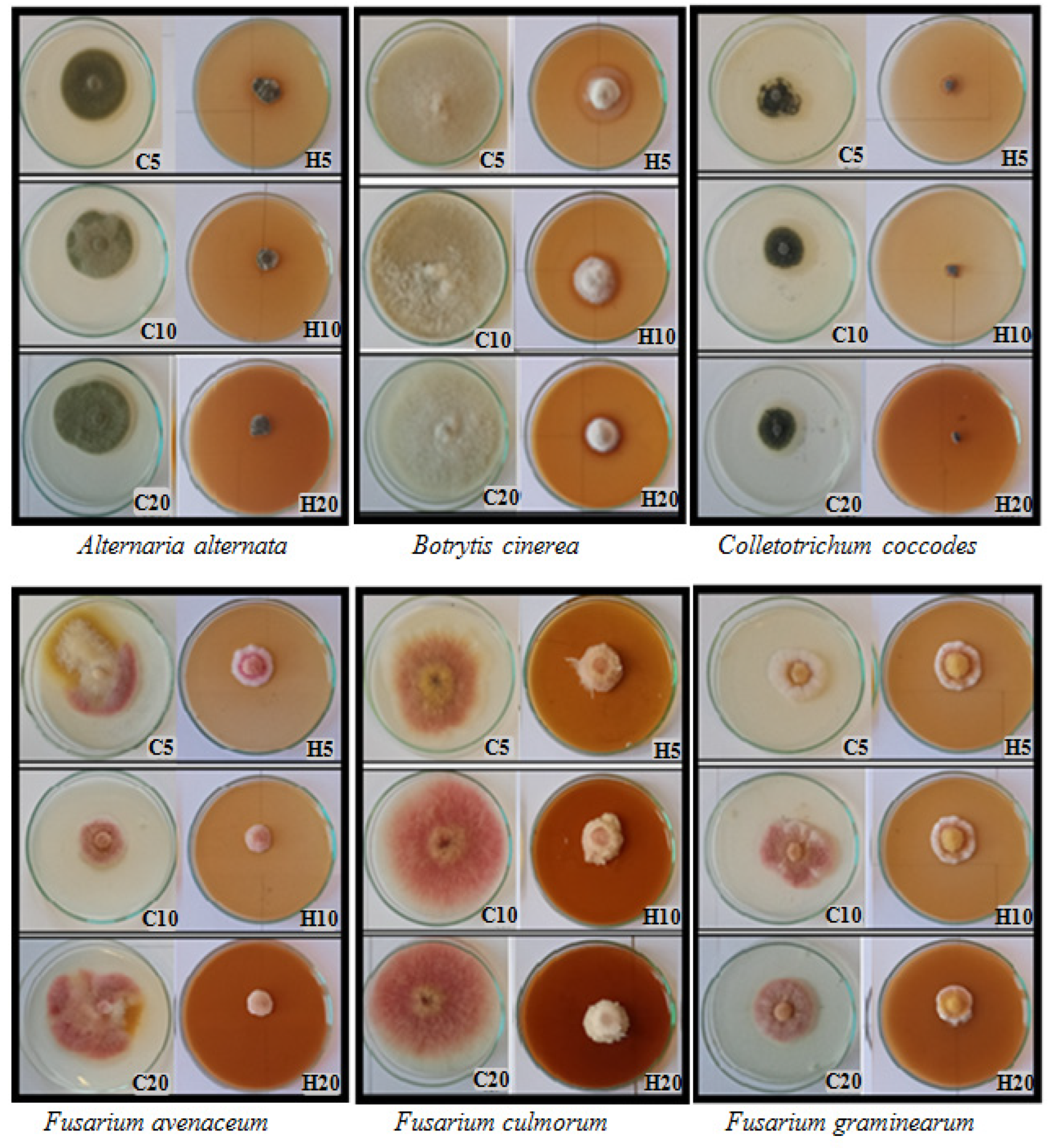 Applsci 14 01680 g002a