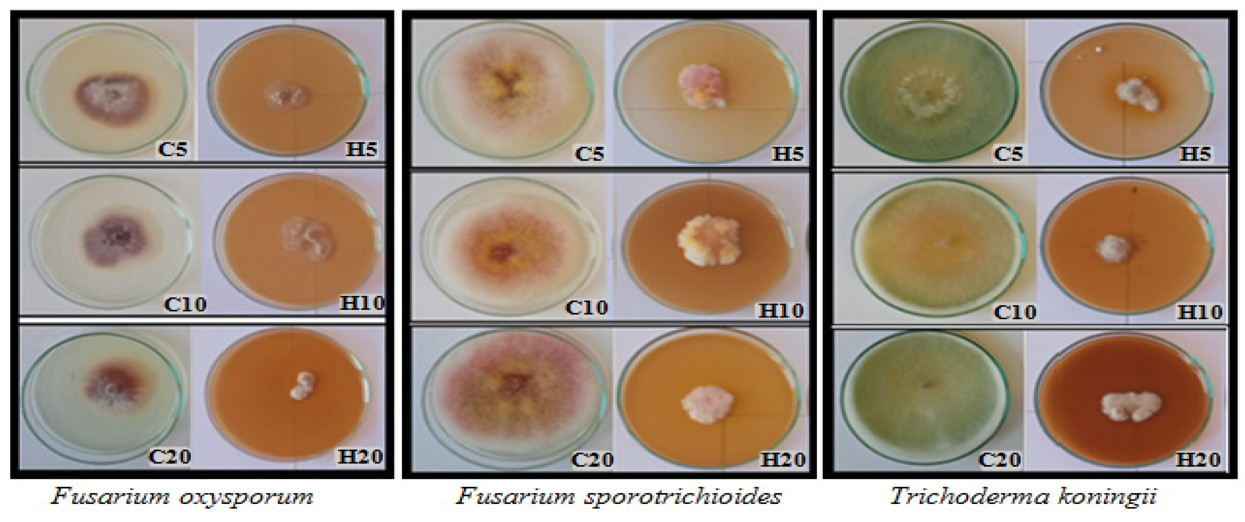 Applsci 14 01680 g002b