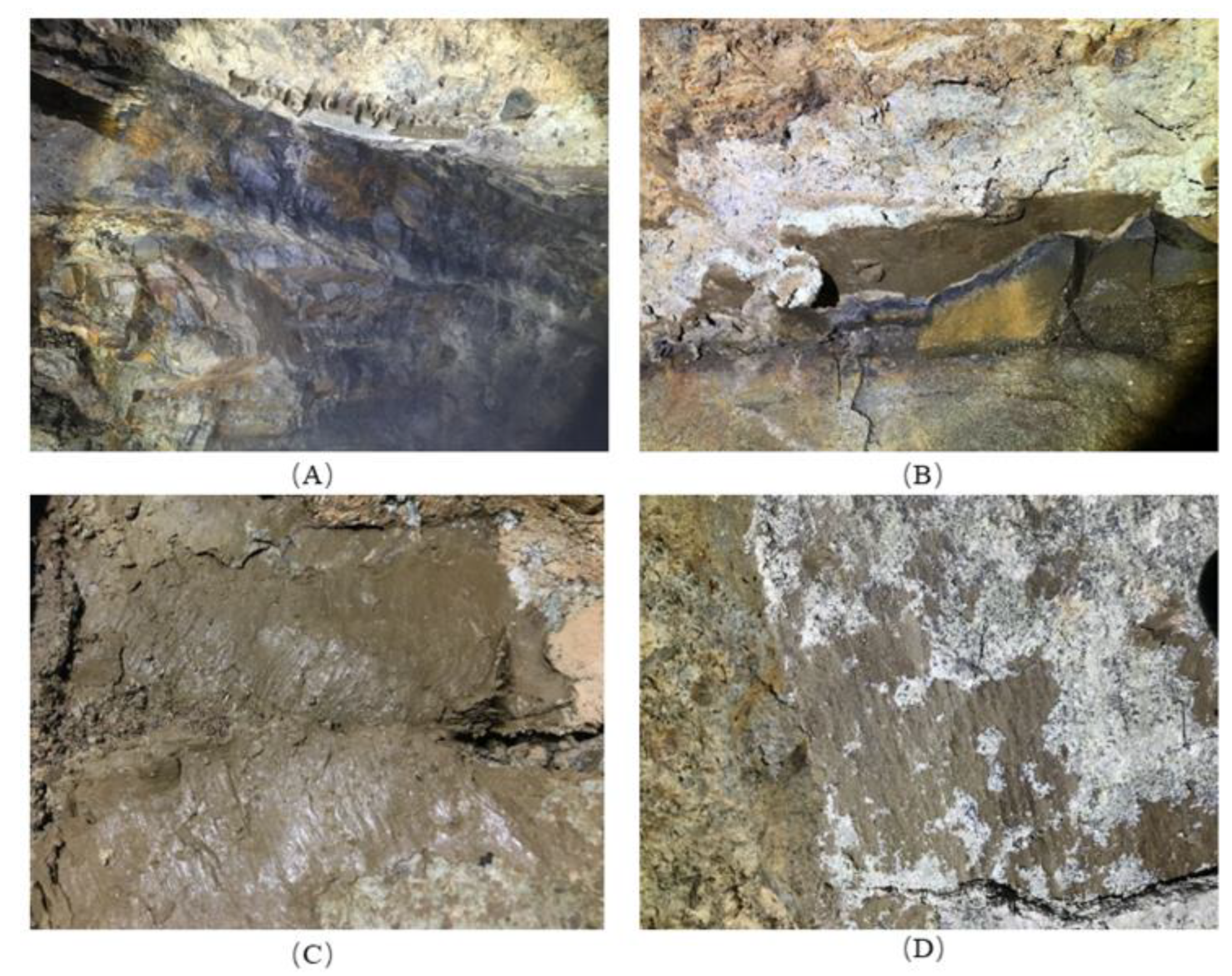 Applsci 14 01687 g001