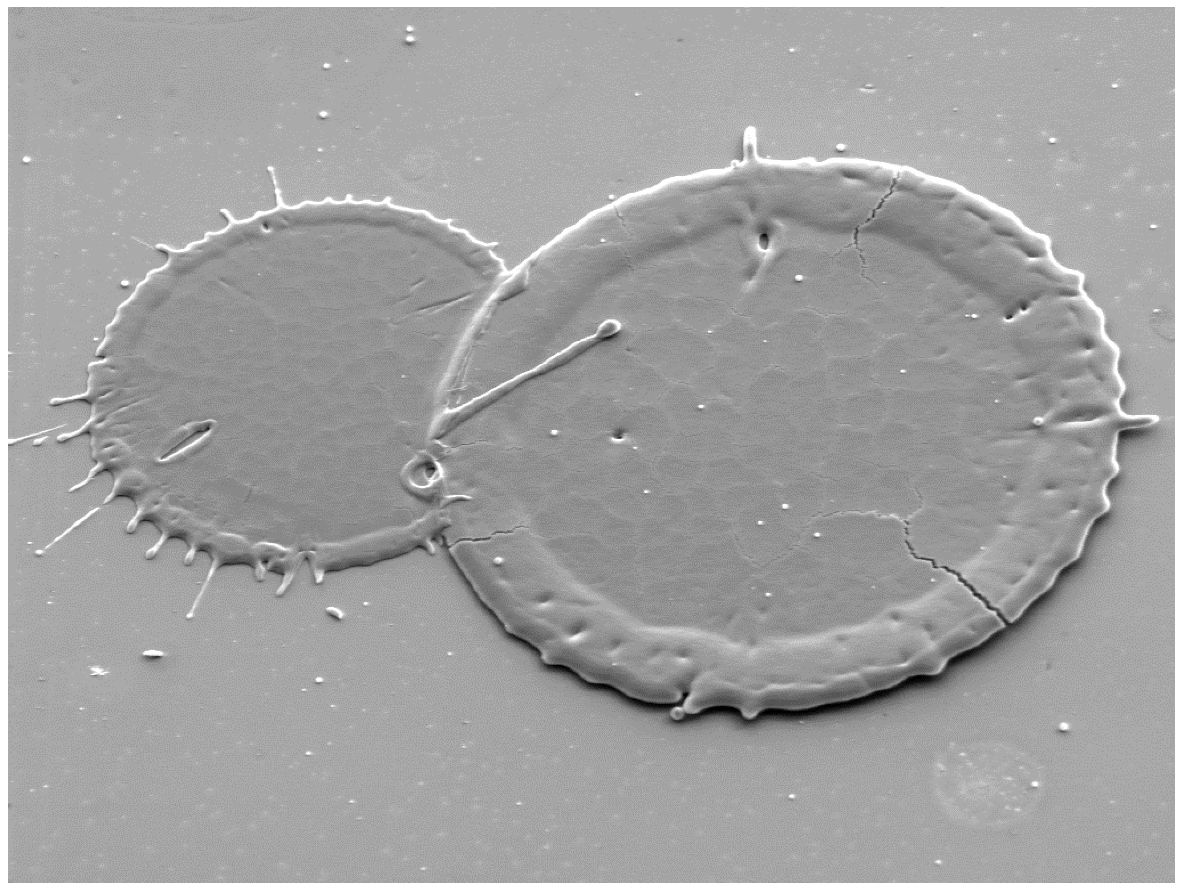 Applsci 14 01714 g004