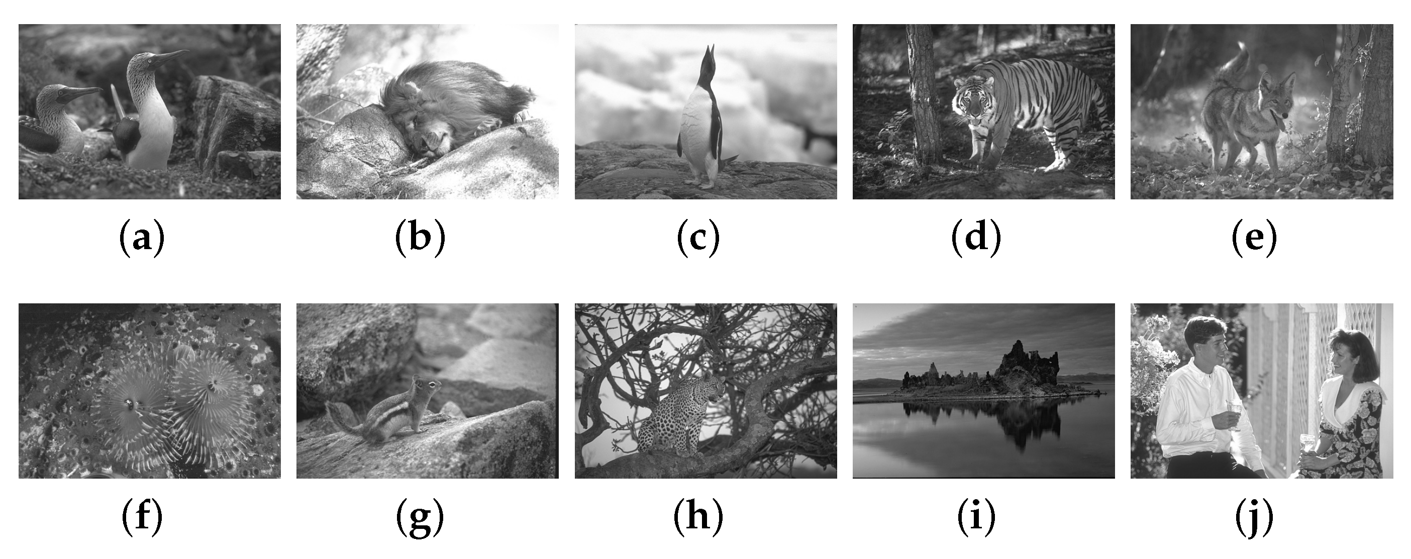Applsci 14 01742 g006 Applsci 14 01742 g006